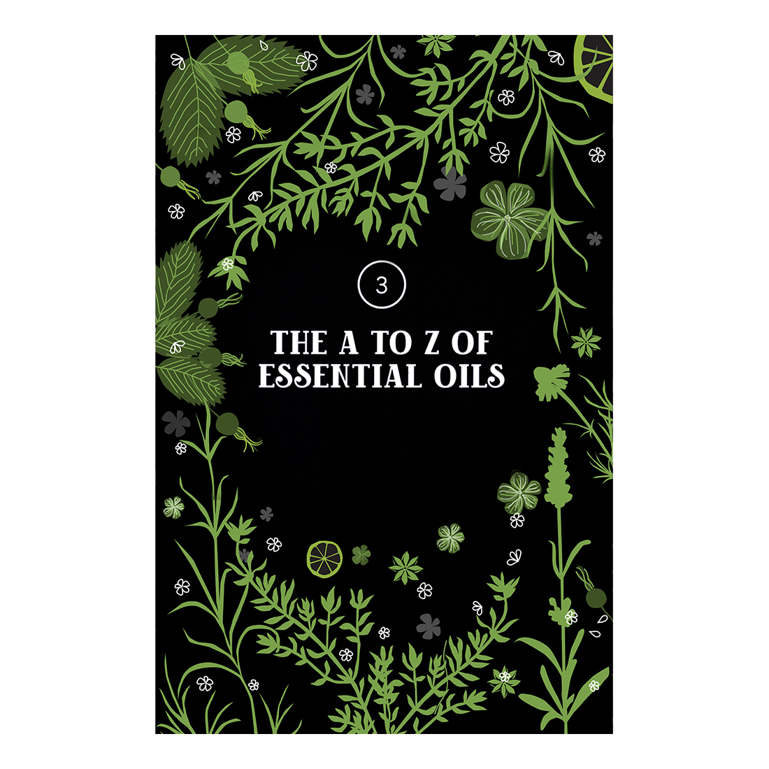 botanical drawing, chapter opener, book interior, illustrated by Terry Marks