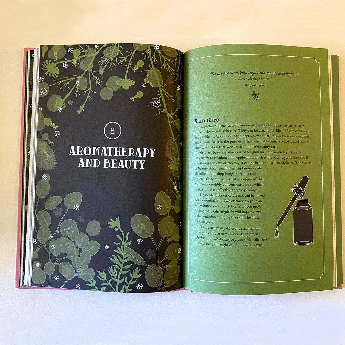 botanical drawing, eyedropper, chapter opener, book interior, illustrated by Terry Marks