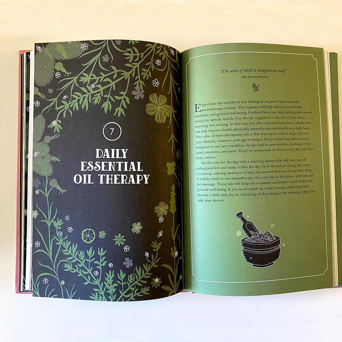 botanical drawing, chapter opener, book interior, illustrated by Terry Marks