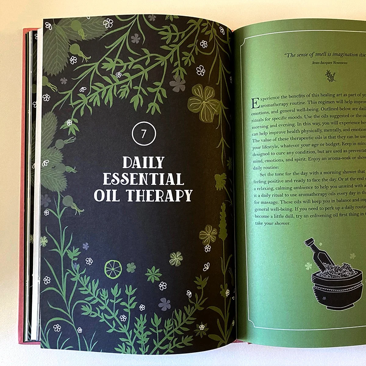 botanical drawing chapter opener book interior, illustrated by Terry Marks