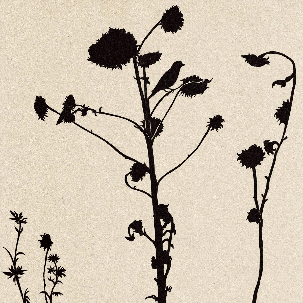 bird on multiple blossom sunflower silhouette, illustrated by Terry Marks