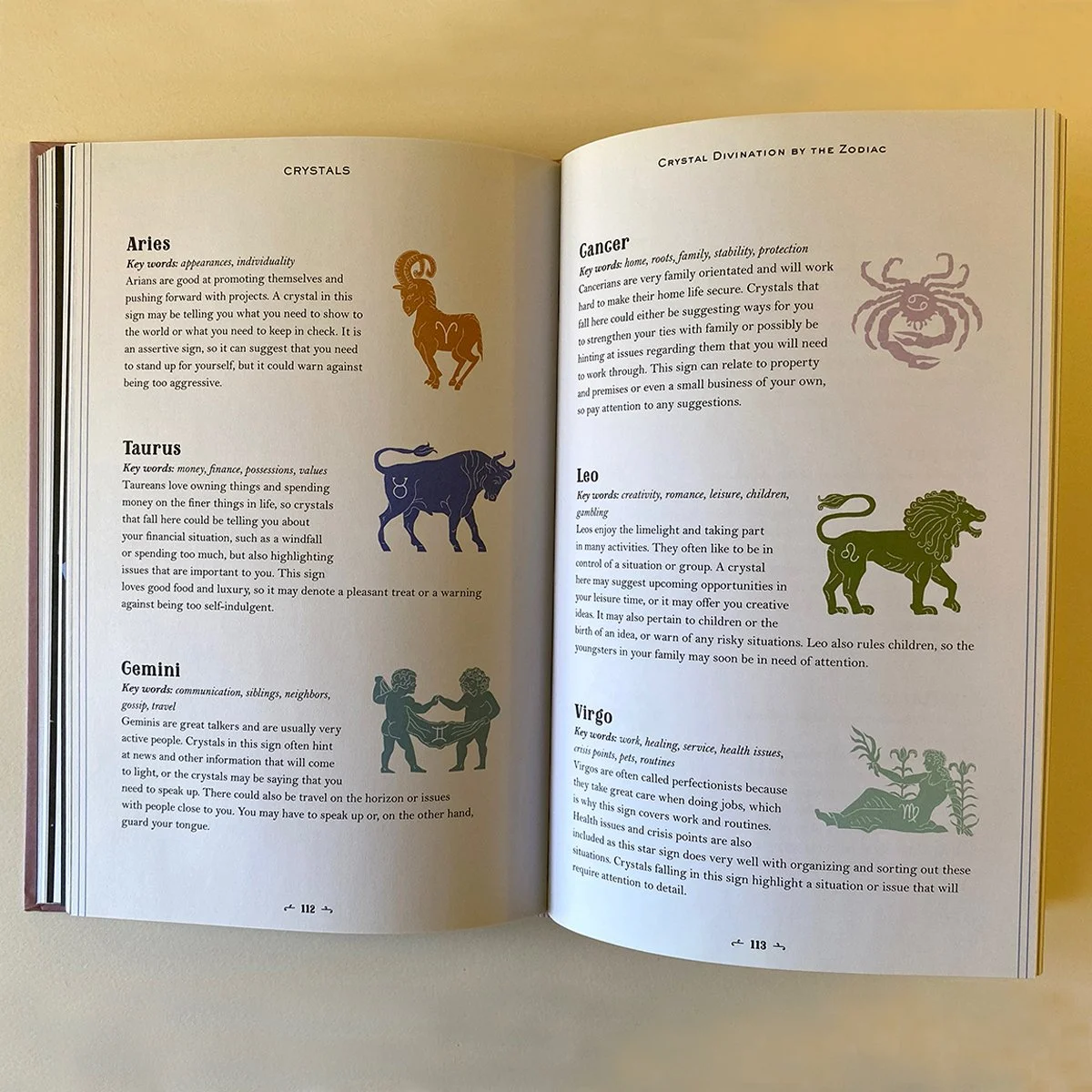 astrological horoscope symbols, book interior, illustrated by Terry Marks