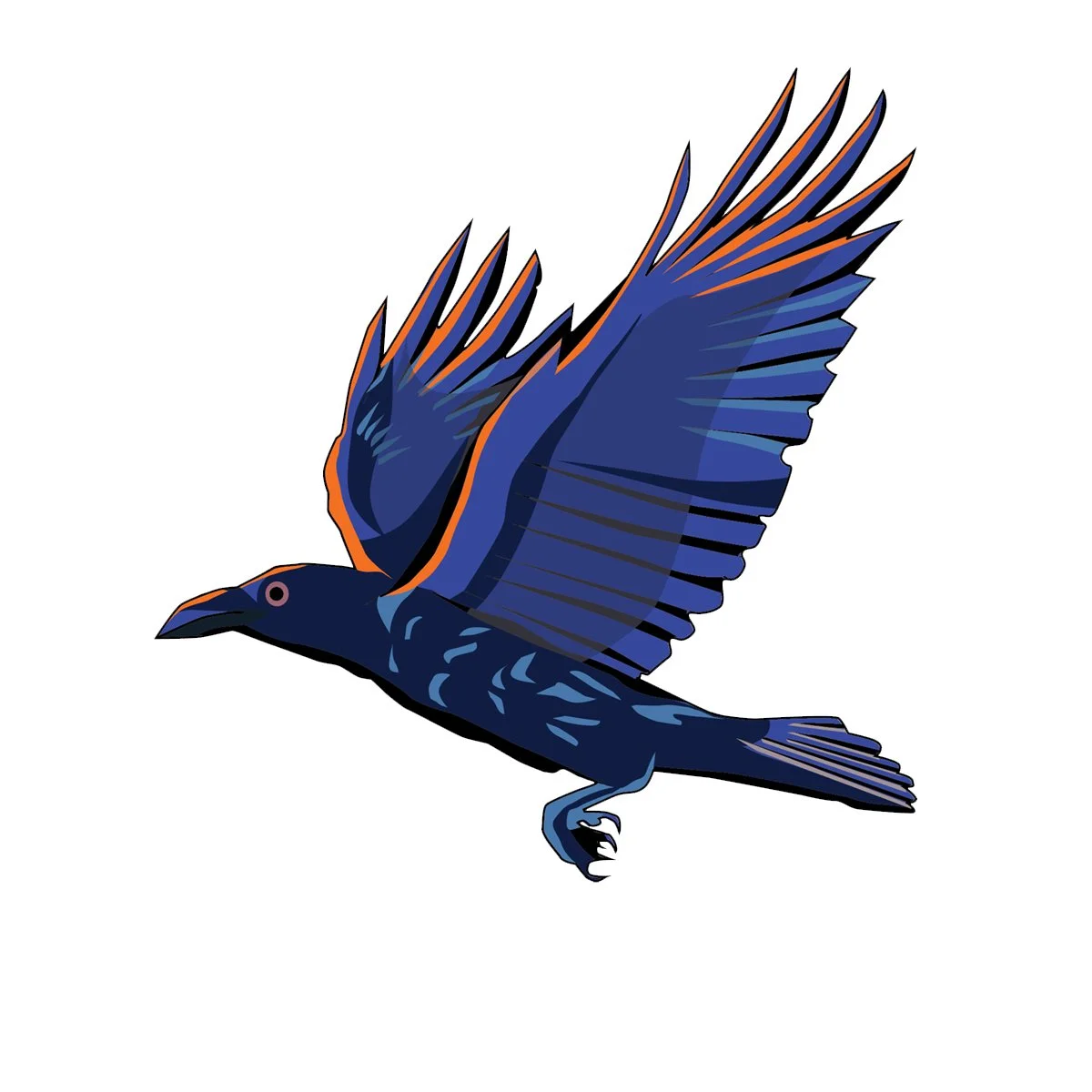 raven in flight, illustrated by Terry Marks