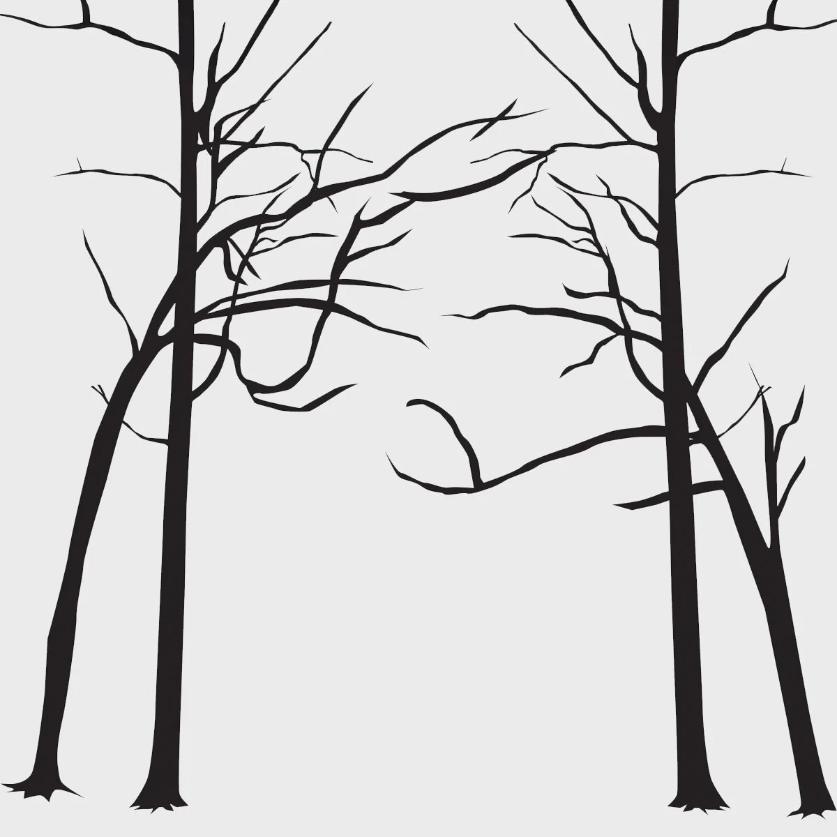 silhouette shadow drawing of leafless trees, illustrated by Terry Marks