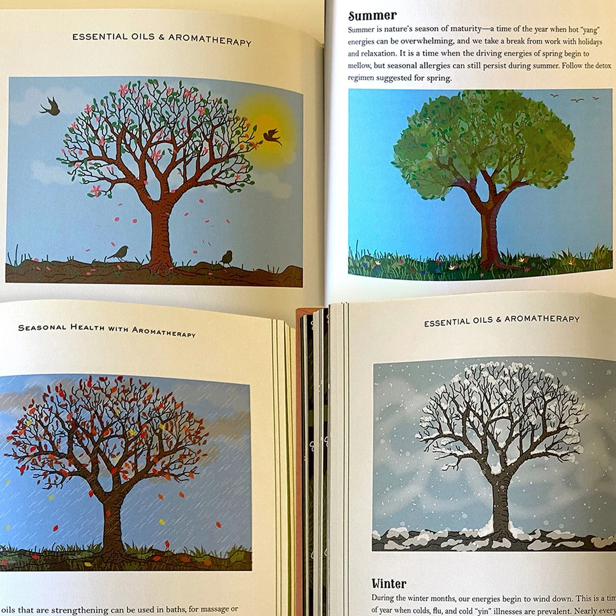 trees showing four seasons, spring, summer, fall and winter, book interiors, illustrated by Terry Marks 