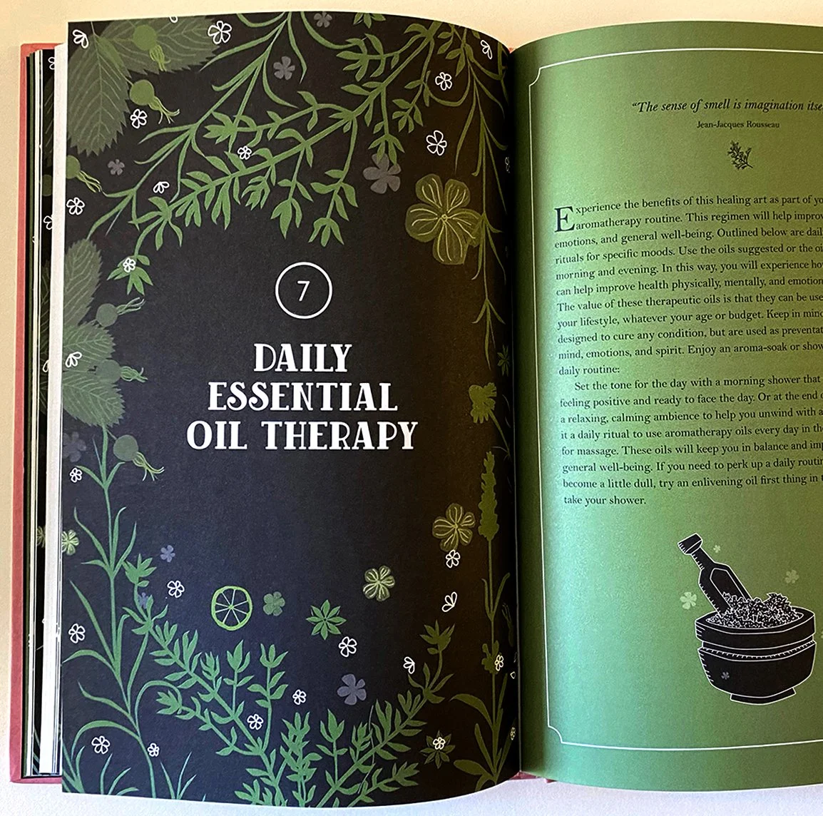 02-Terry Marks illustration-aromatherapy-botanical-book pages-chapter opener.jpg
