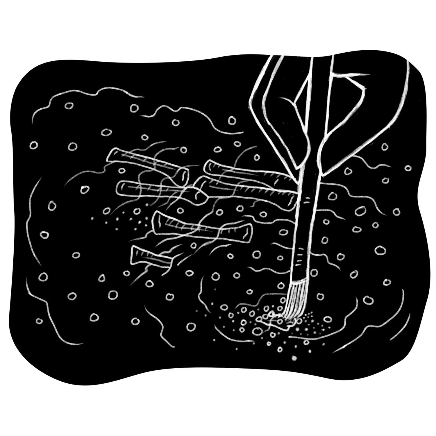 ice age burial, illustration by Terry Marks