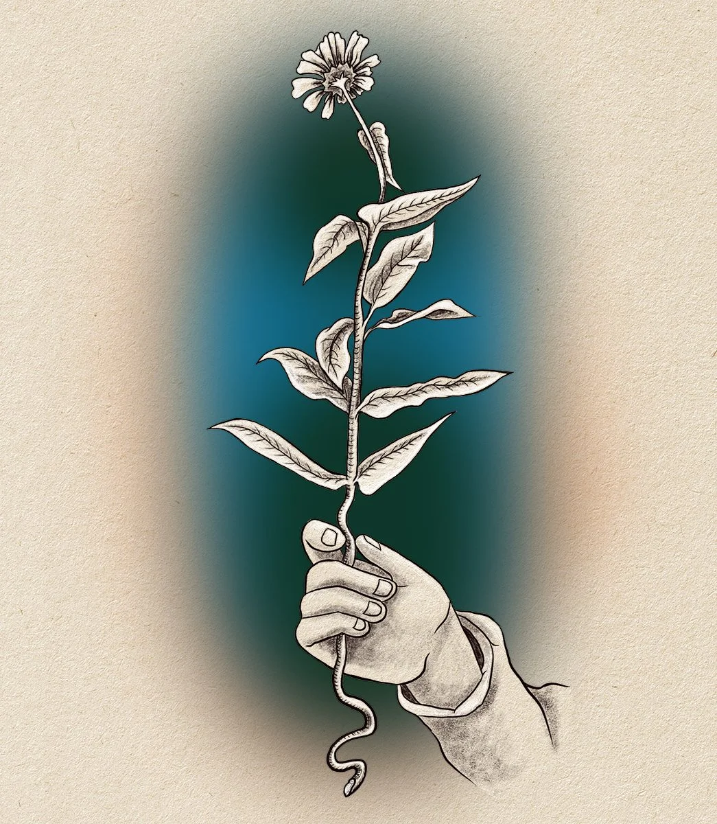 hand holding single flower, illustrated by Terry Marks