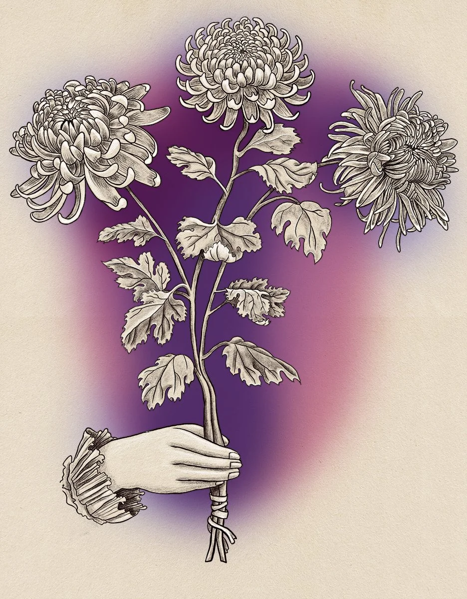 hand with frilly cuff holding chrysanthemum bunch, illustrated by Terry Marks