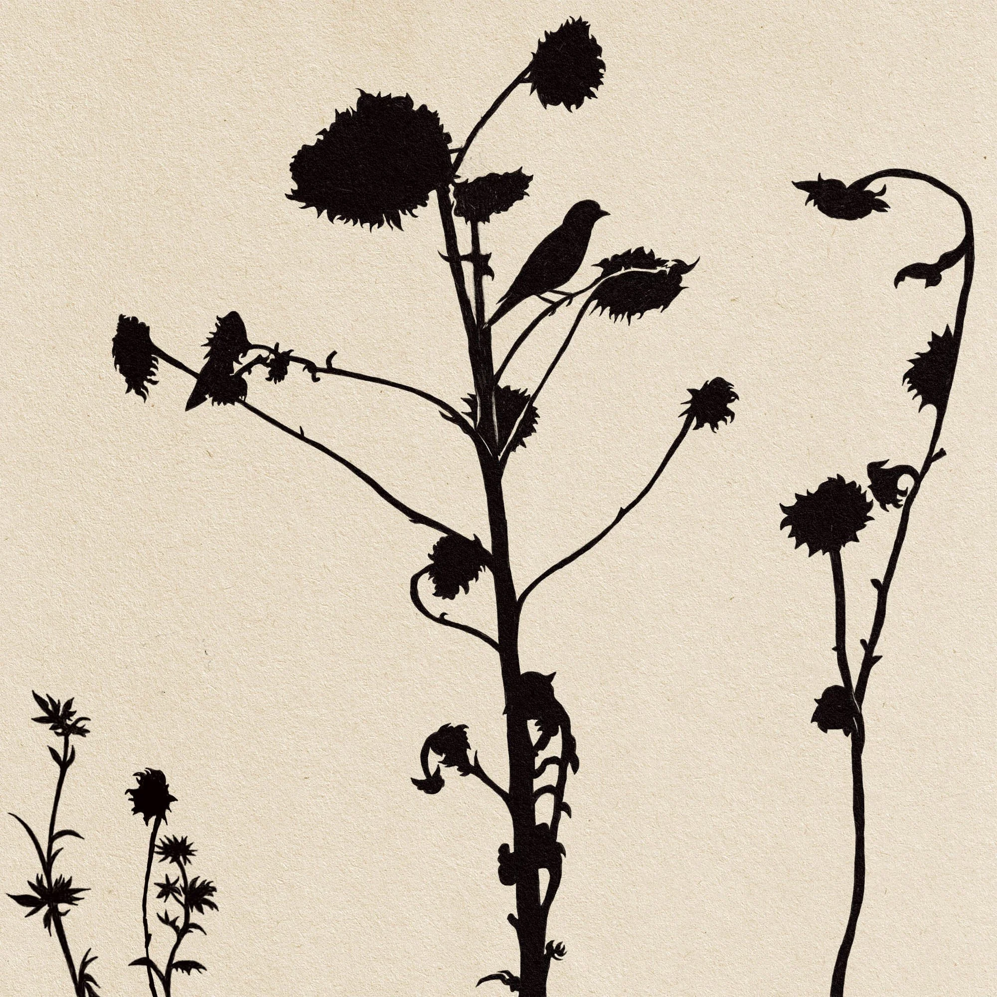 silo-sunflowers + bird.jpg