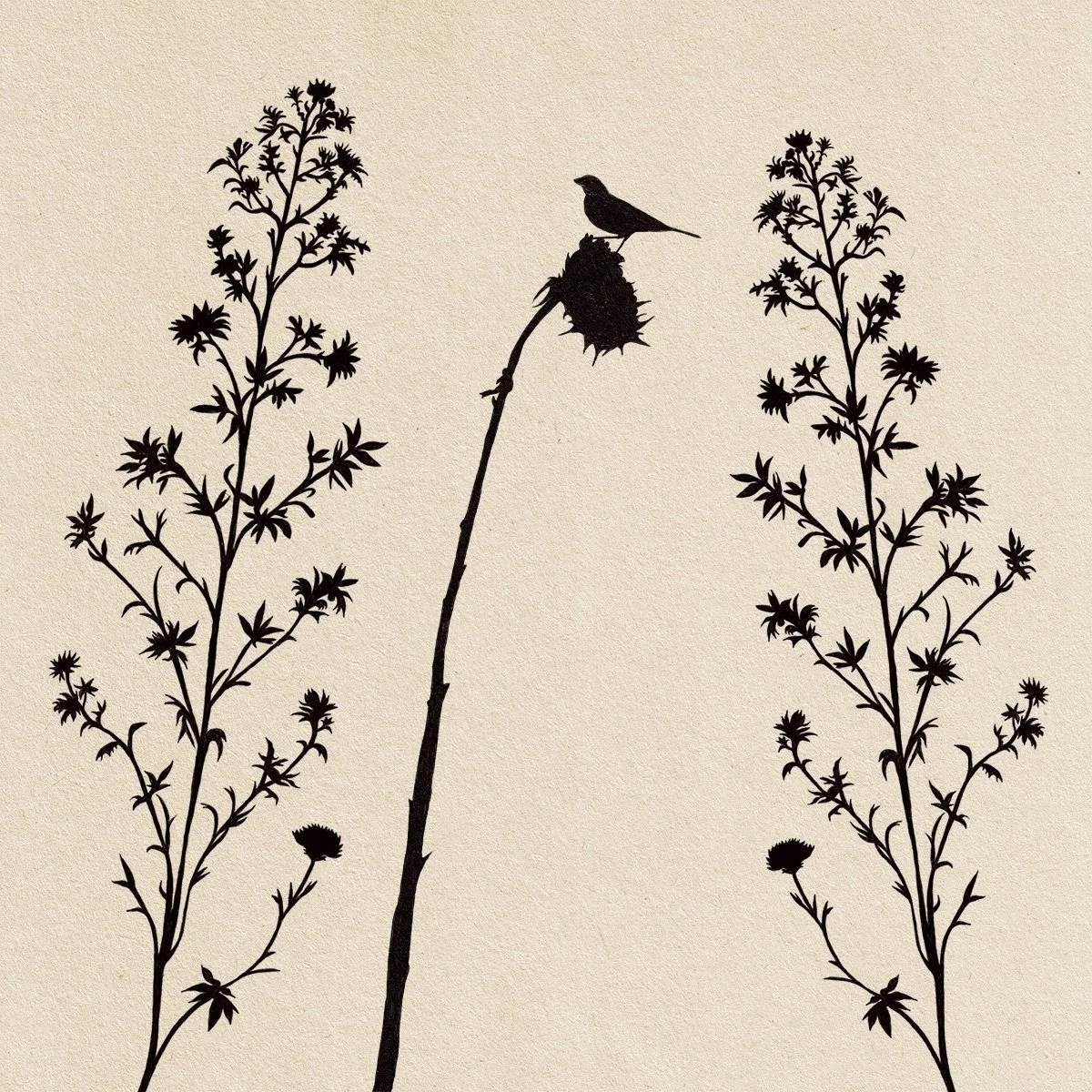 perching bird on single sunflower silhouette, illustrated by Terry Marks