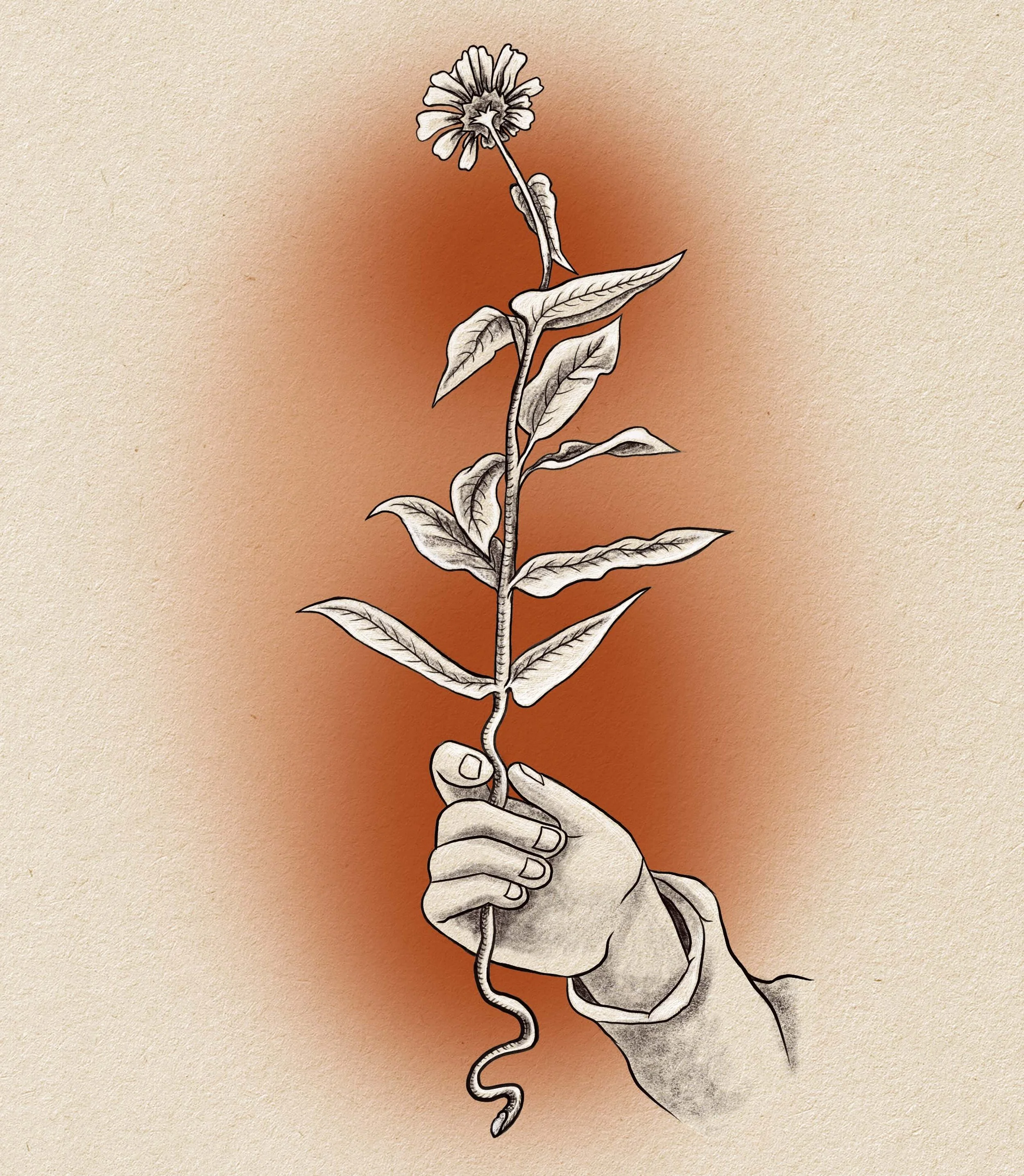 daisy_stem shorter.jpg