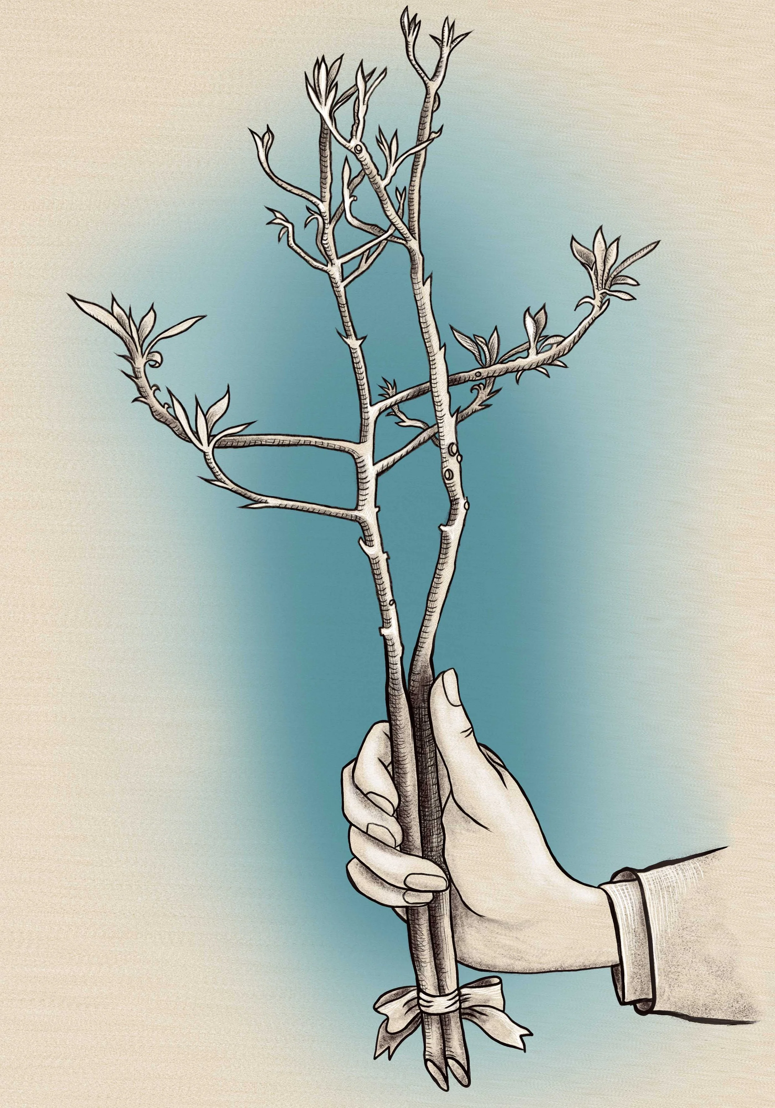 double_stem.jpg