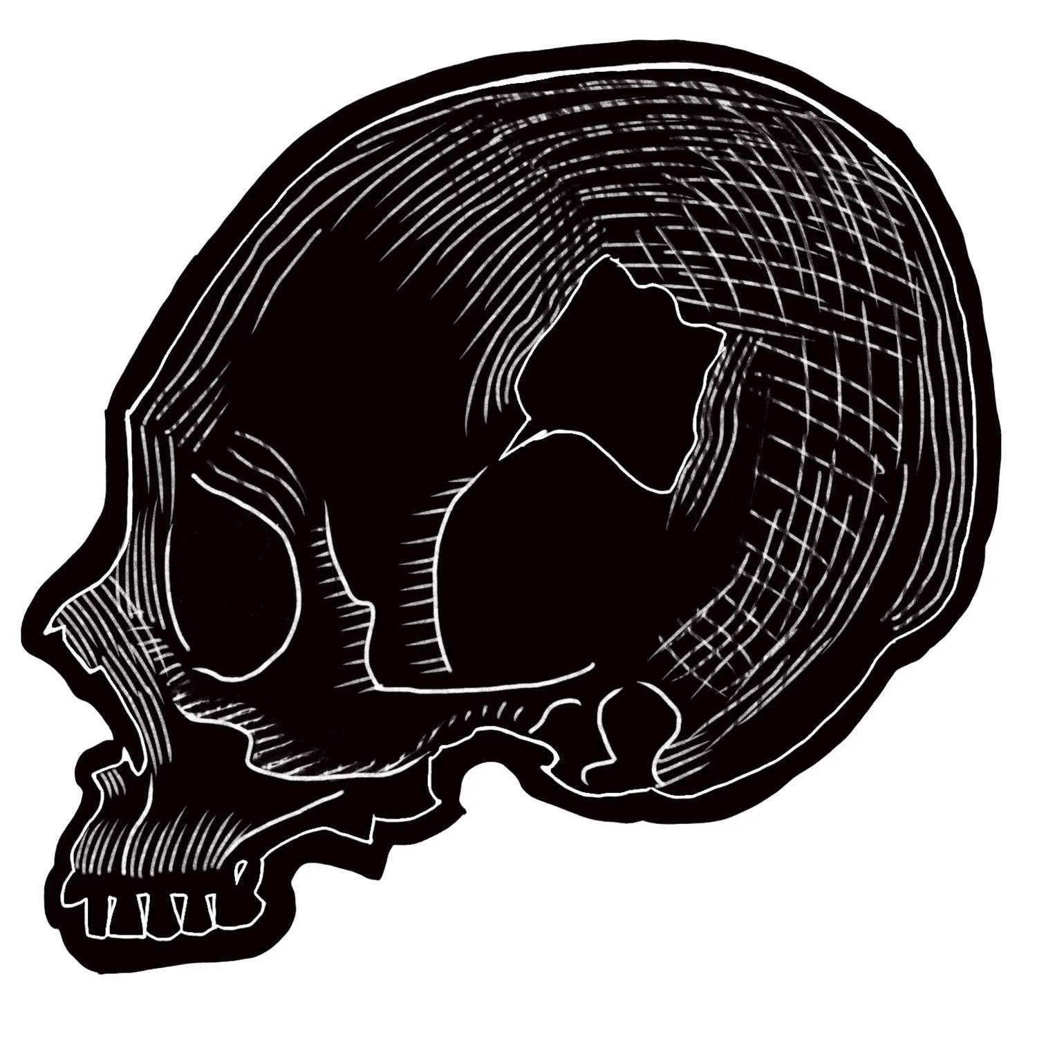 mesoamerican brain surgery, illustration by Terry Marks