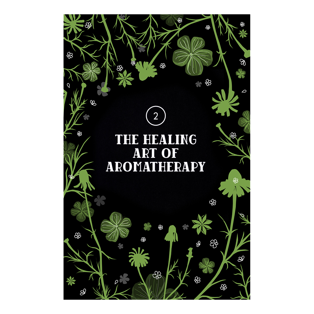 botanical drawing, chapter opener, book interior, illustrated by Terry Marks