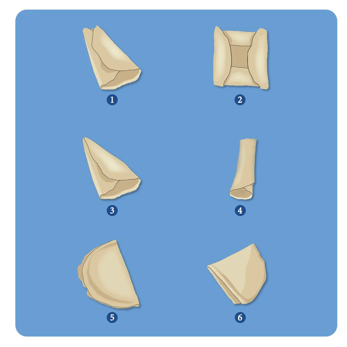 crepe fold variations, illustrated by Terry Marks