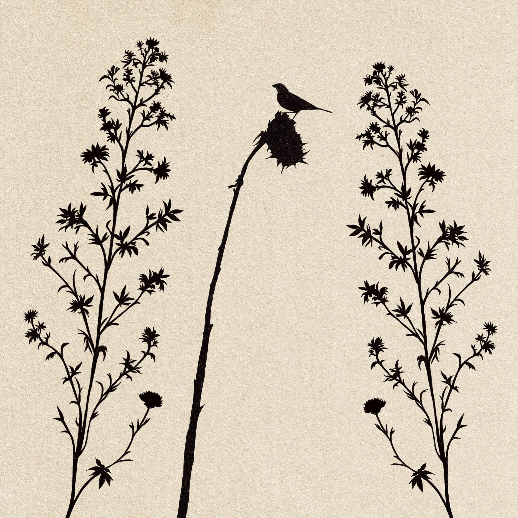 silo-single sunflower+bird+2 carnations.jpg