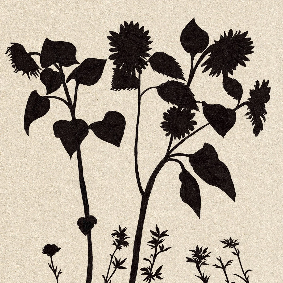 sunflower silhouettes, illustrated by Terry Marks