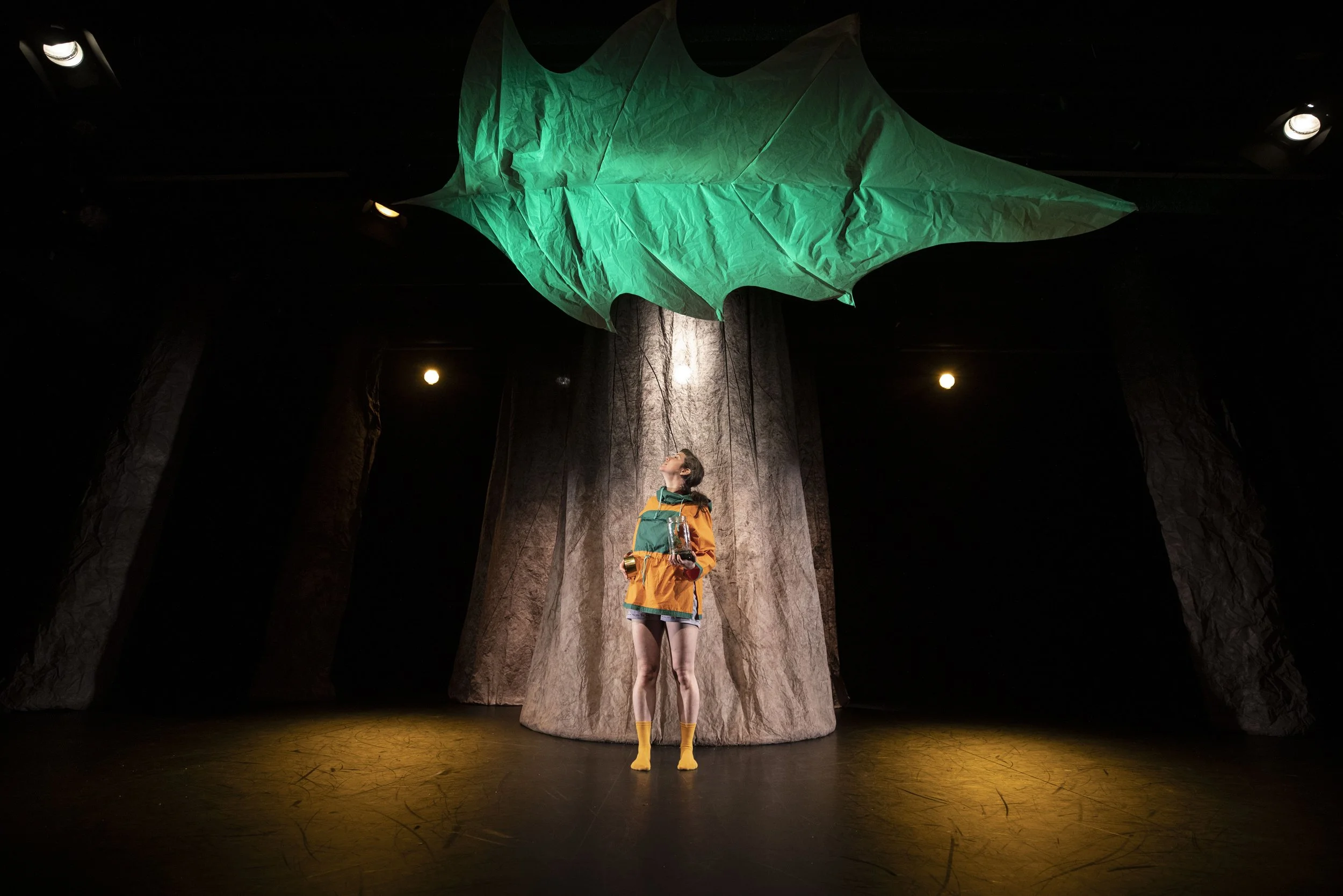 Crédit Elias Djemil