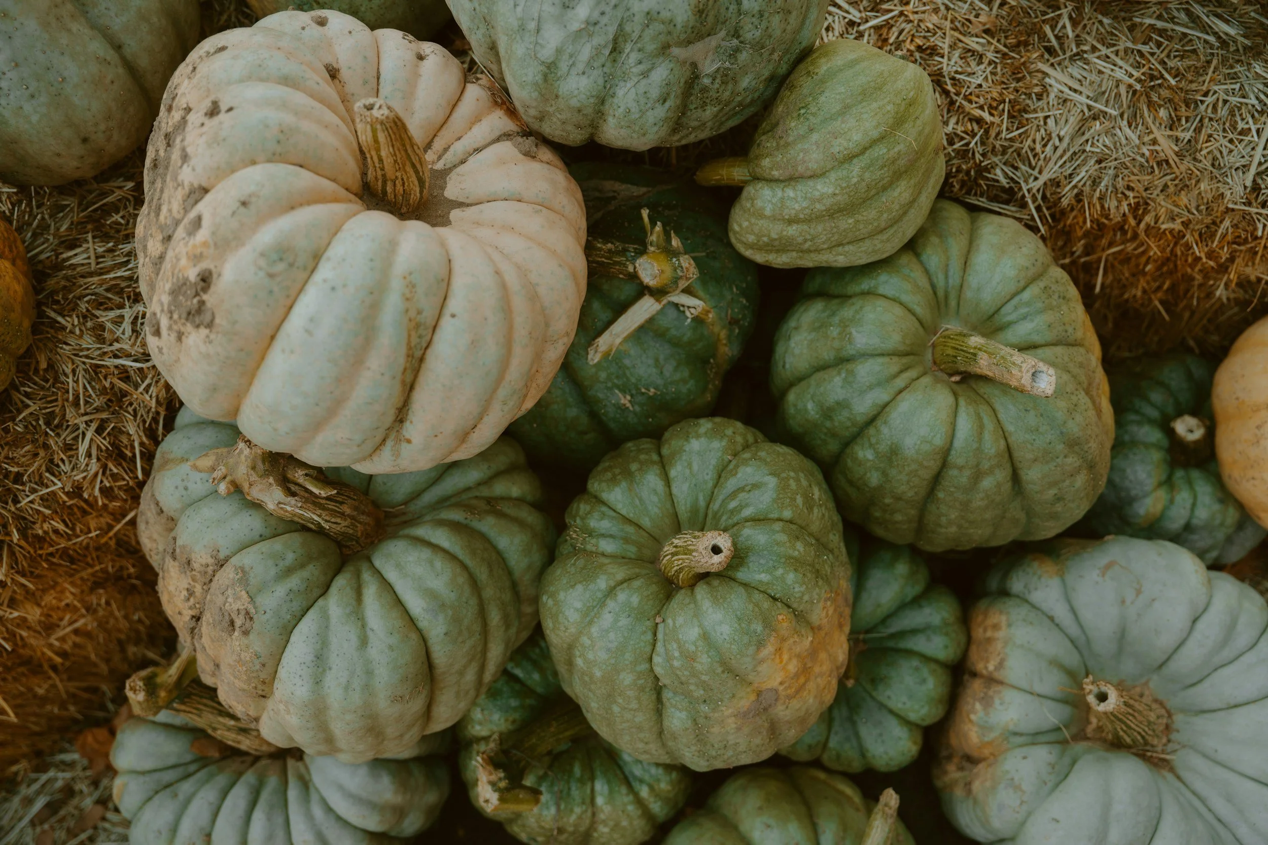 unsplash-image-wLz0yODxS_8.jpg
