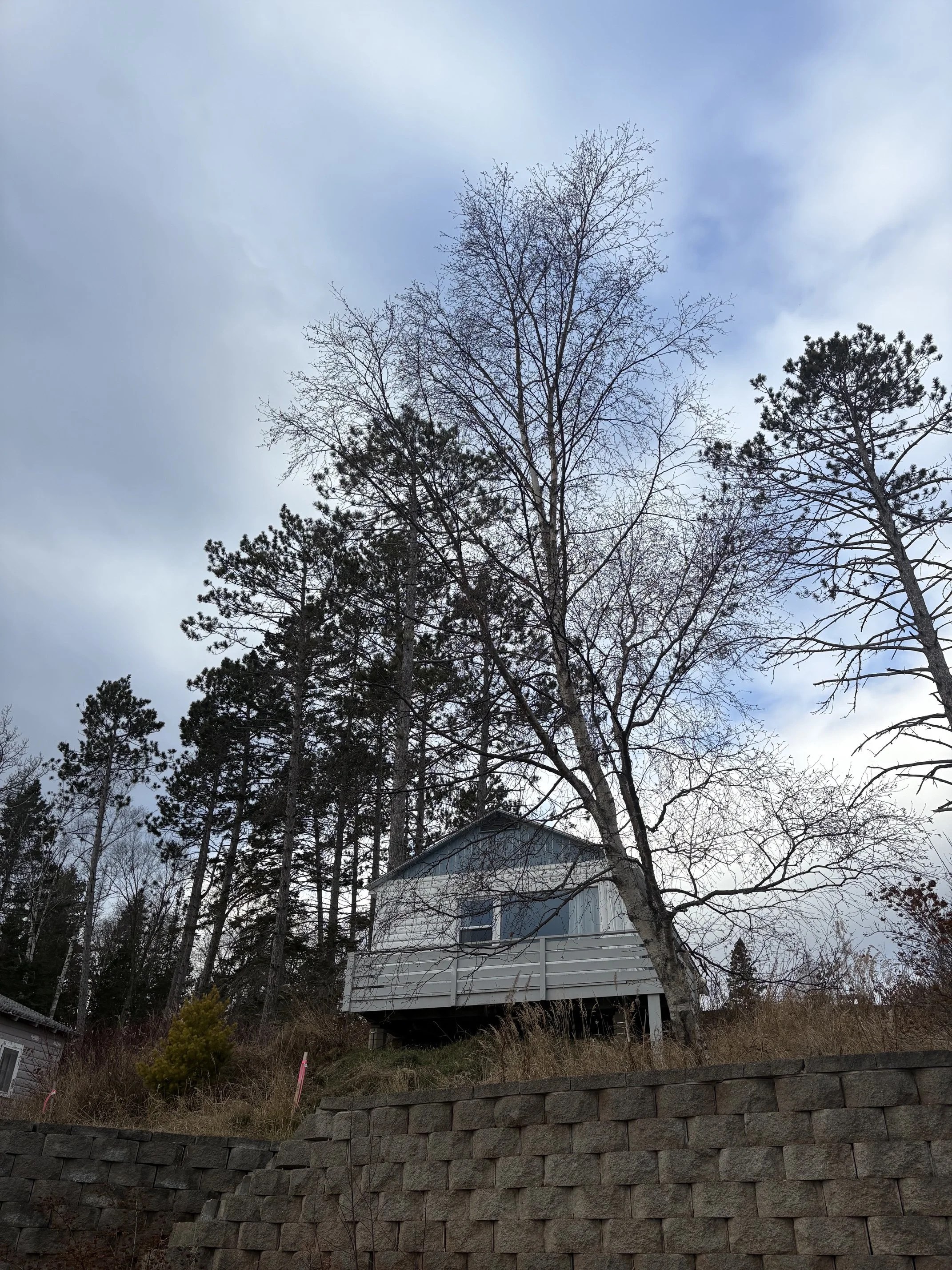 A white house with a deck is situated on a hillside, surrounded by tall trees and overcast sky.