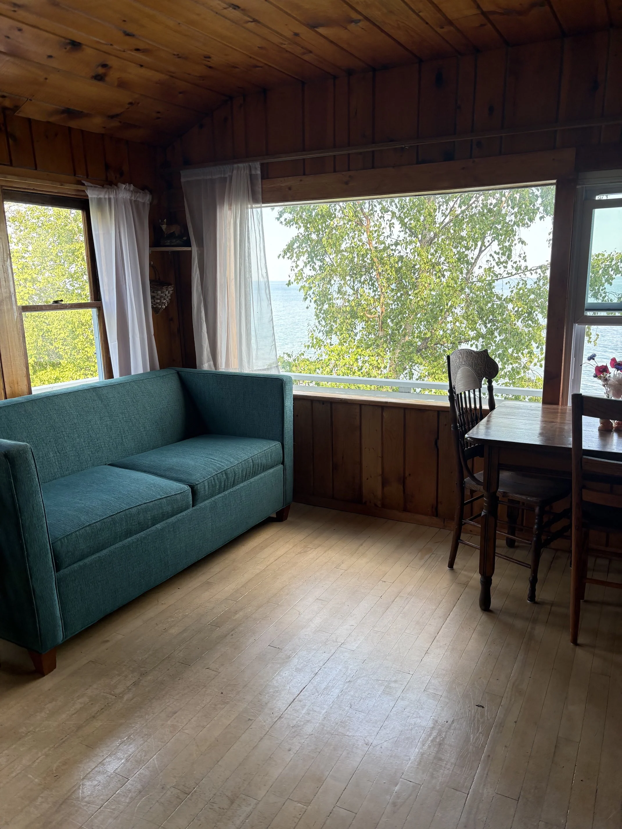 Living room with wooden walls and ceiling, green sofa, wooden dining table with chairs, large window with view of trees and water, sheer curtains, potted flowers on table.