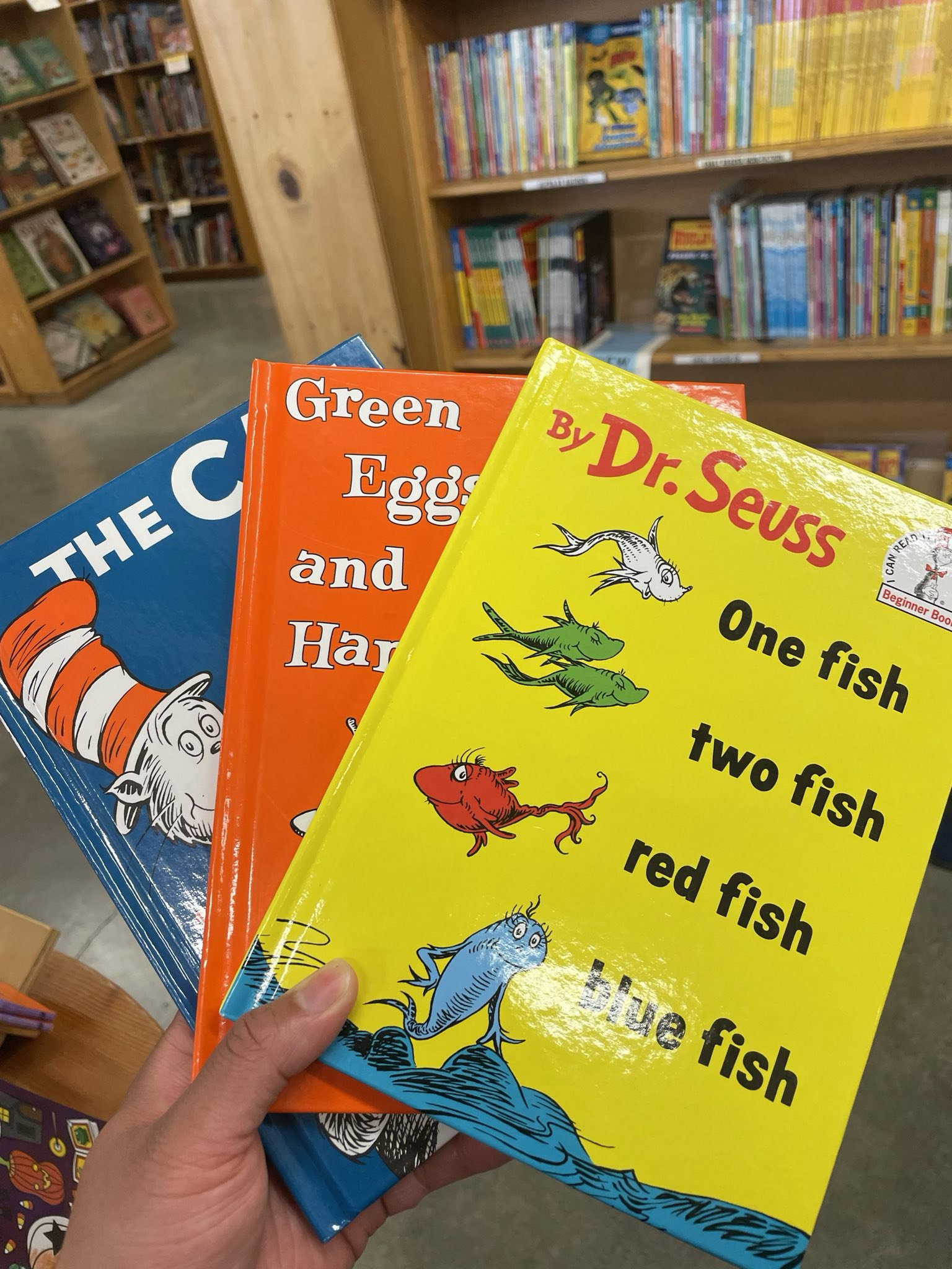 JPEG image-4FA6-A3C4-E1-0.jpeg