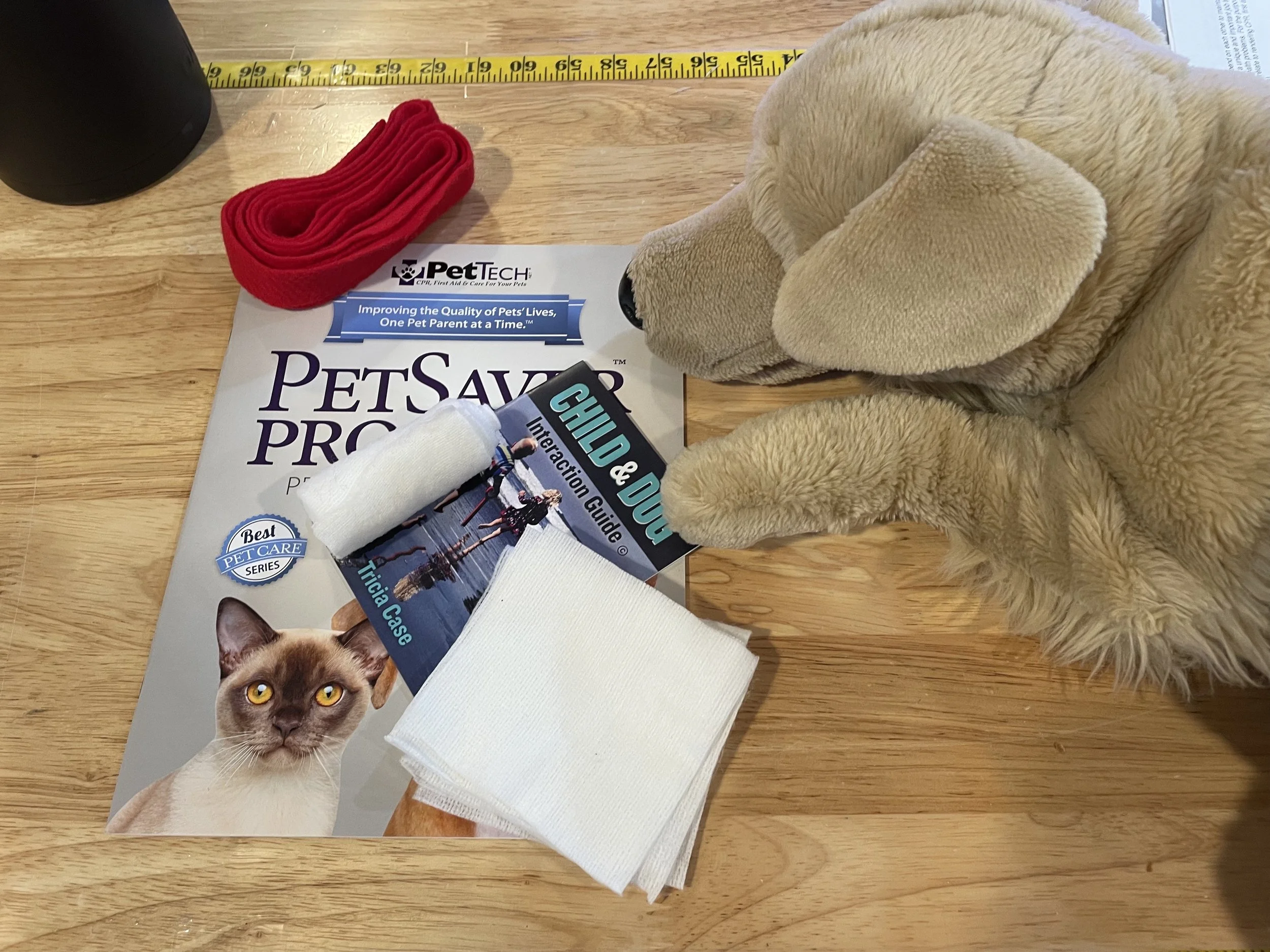 Pet First Aid &amp; CPR Training