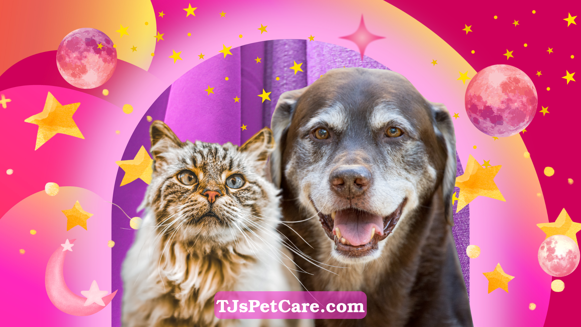 New Service: Constant Care