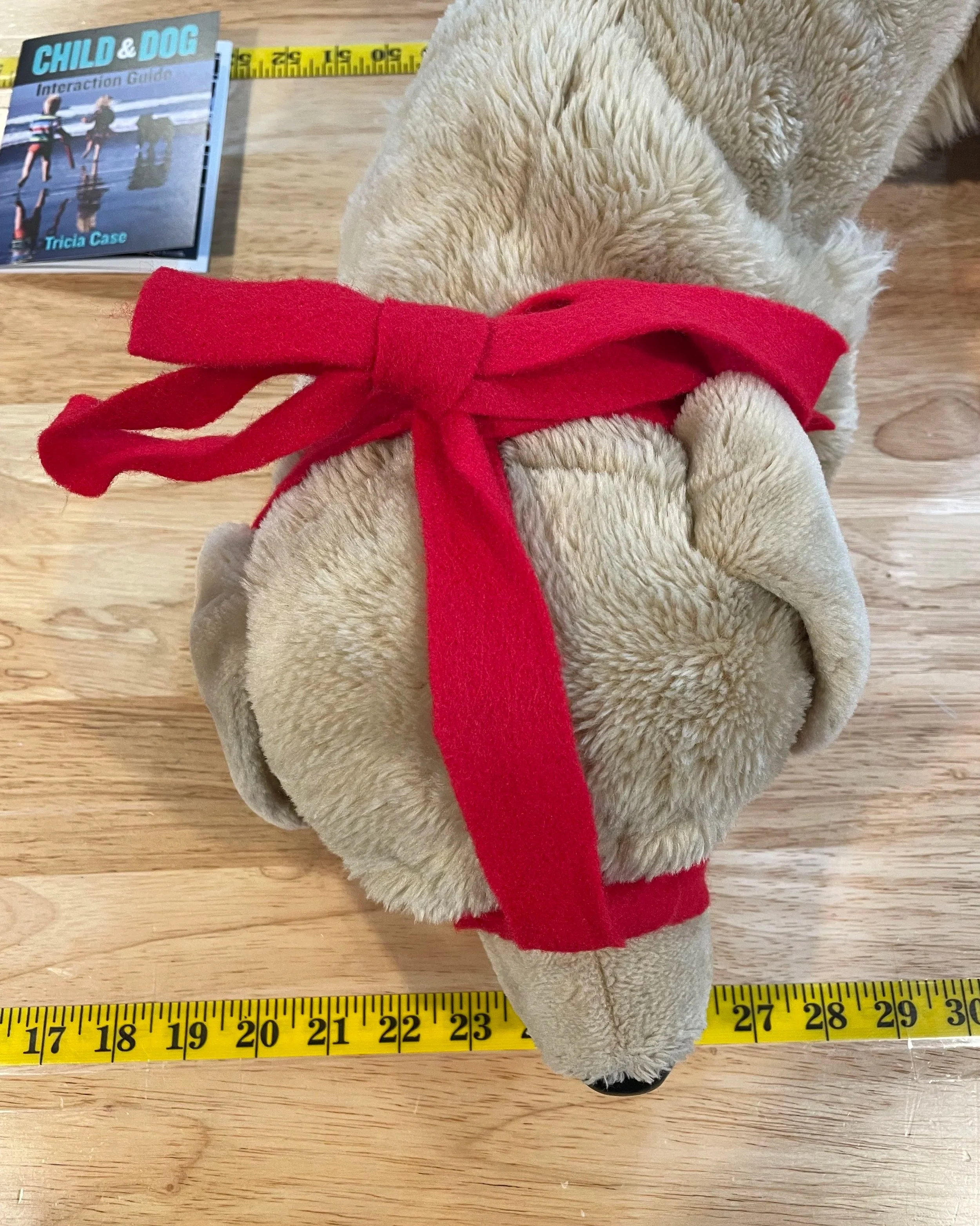 Picture of teddy bear dog toy with safety muzzle on the pup's snout and head.
