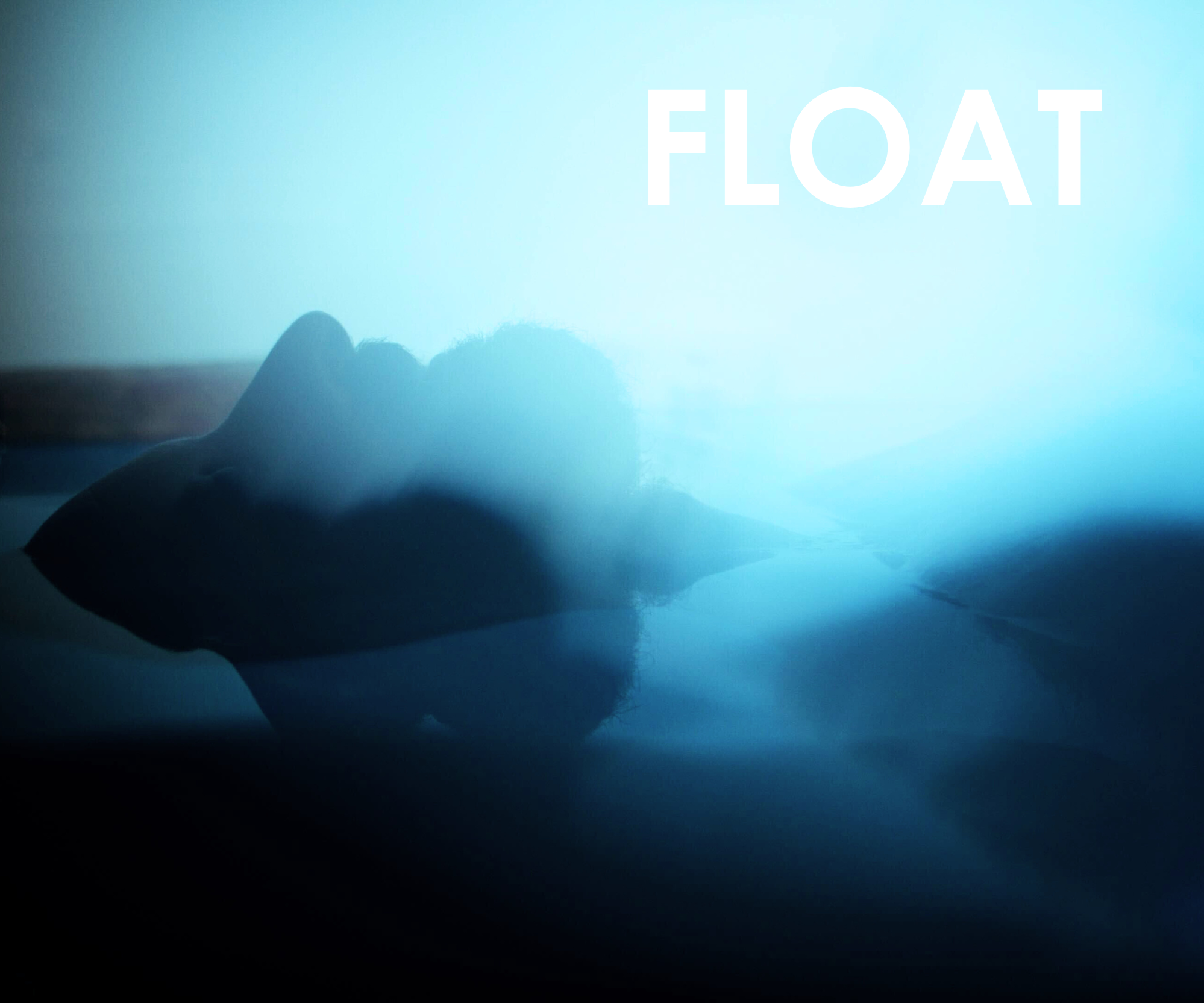 HSA/FSA — FLOAT