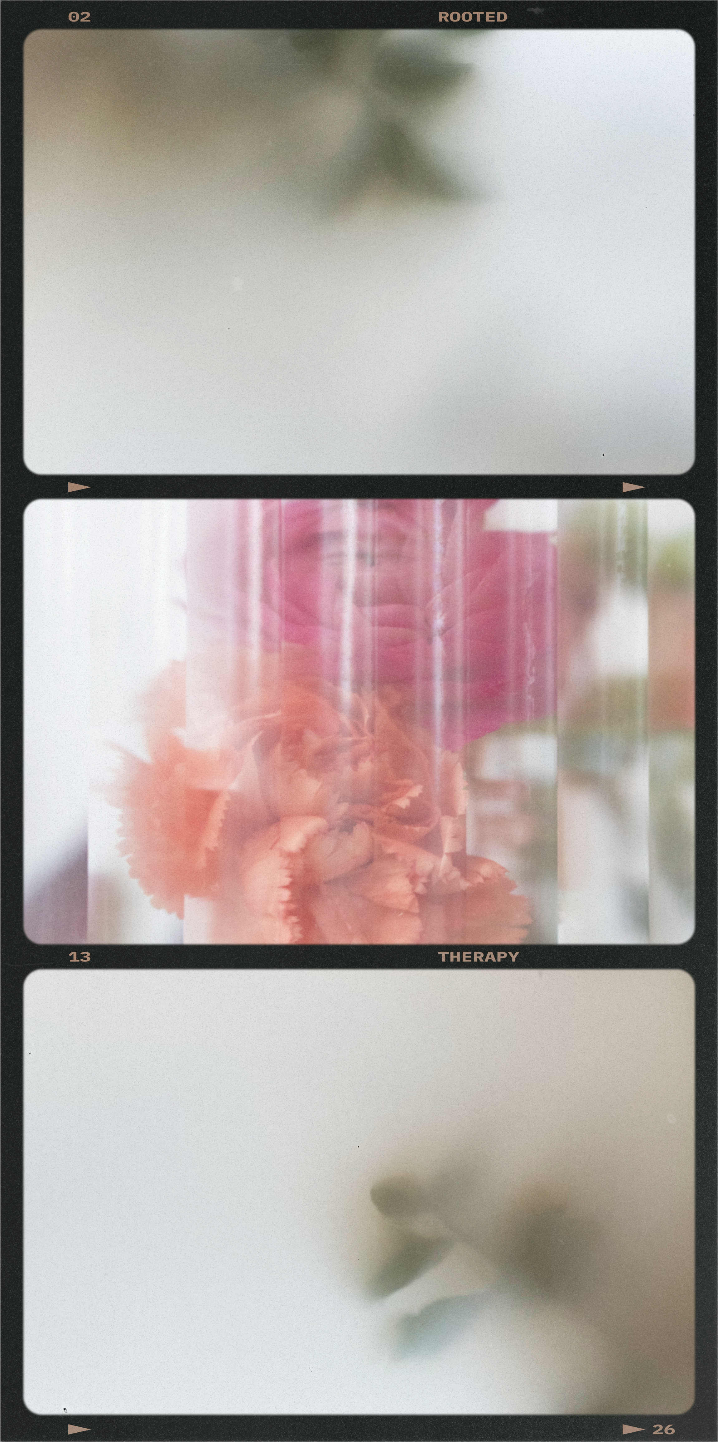 Flowers behind a screen representing memories that may come up in EMDR therapy