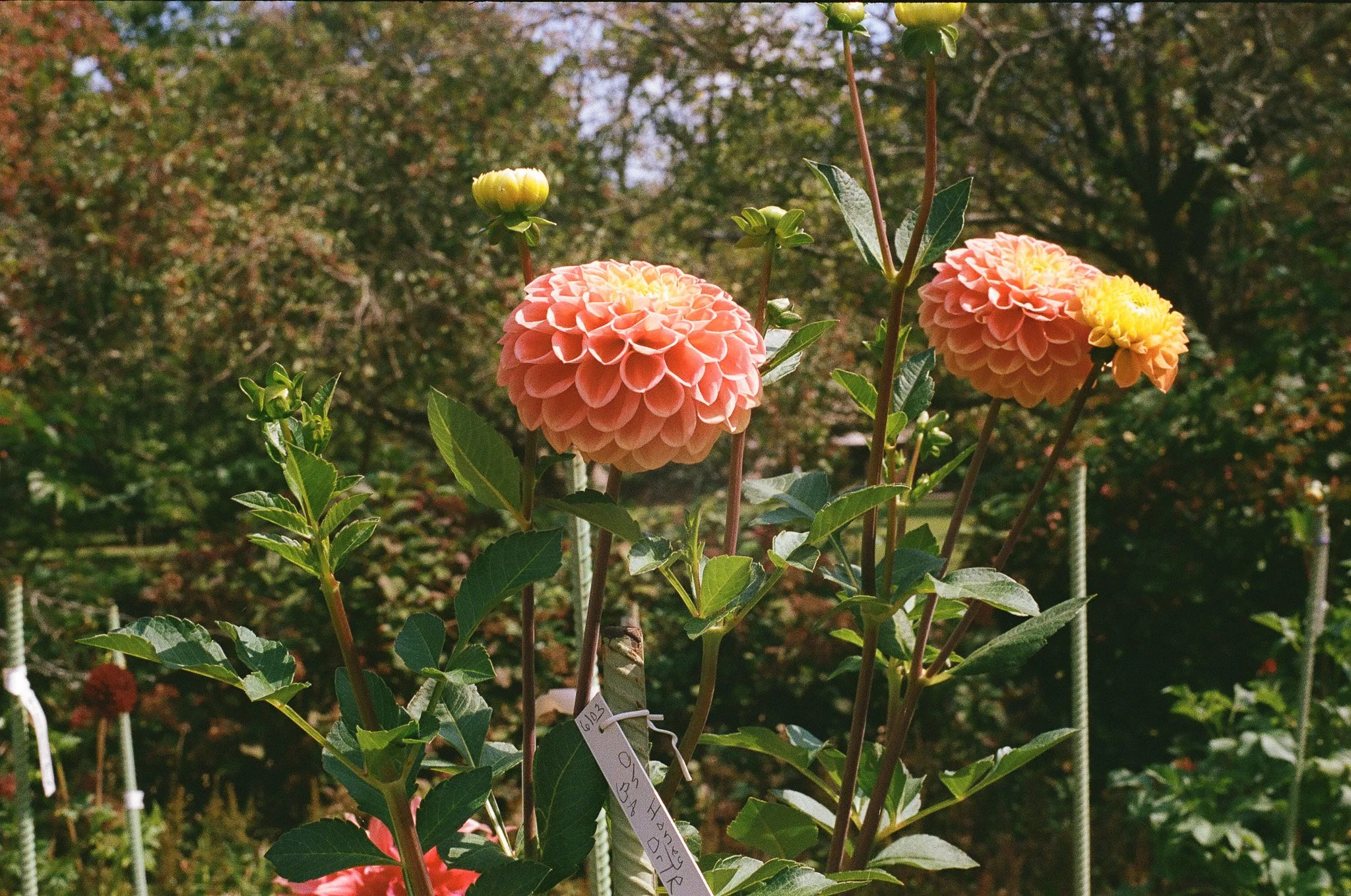 Your Anger Isn’t the Problem — It’s the Portal: Understanding anger, reactivity, and how to actually process what’s underneath the surface