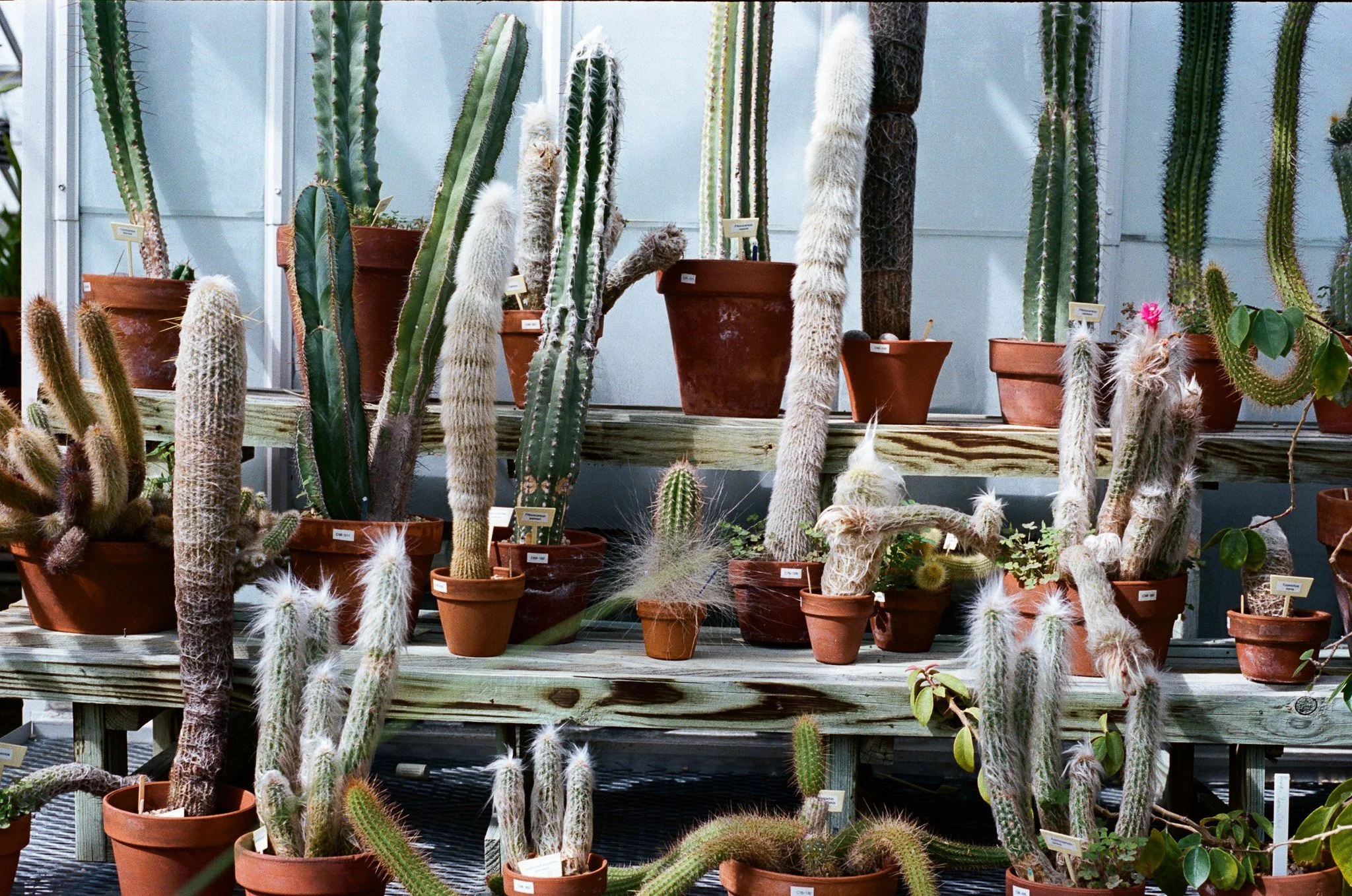 What Do You Mean I Have to “Feel My Feelings”?