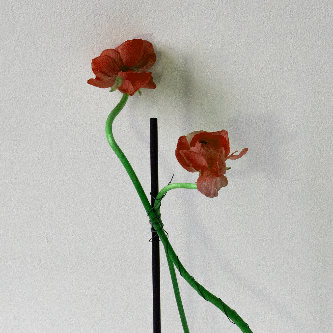 Bent flowers symbolizing nervous system regulation