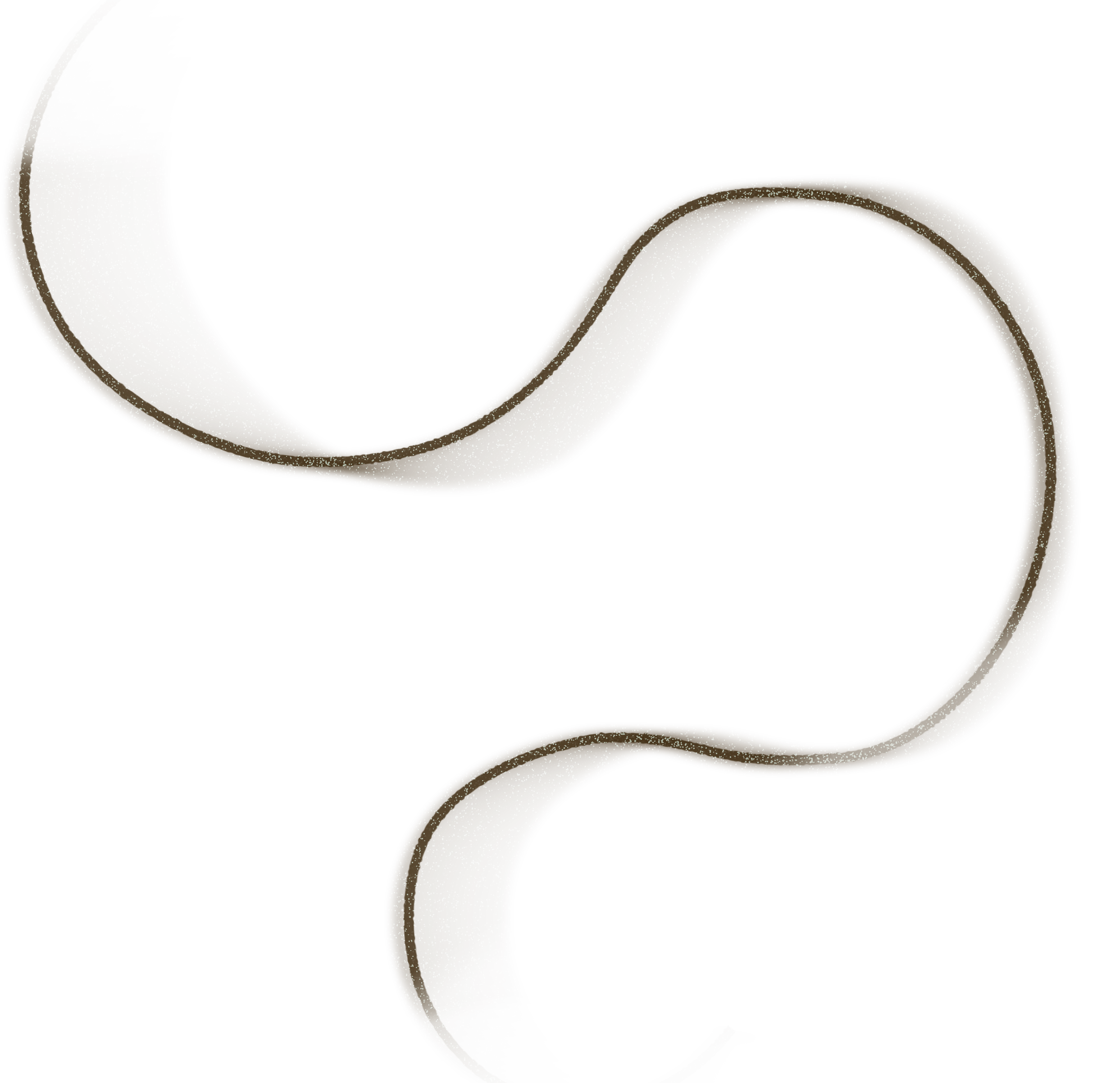 Two therapists at Rooted Therapy