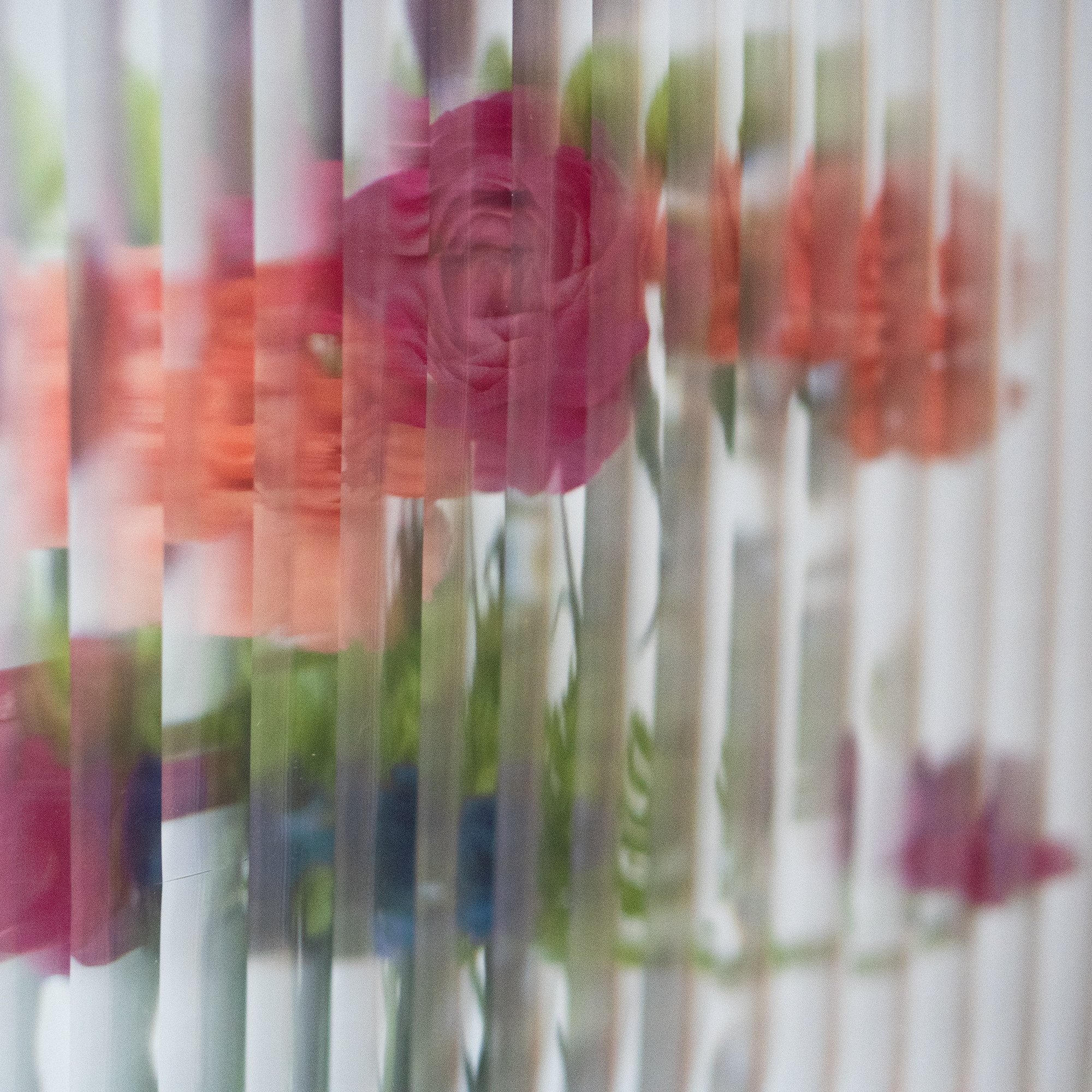 Flowers hidden beneath a screen symbolizing EMDR