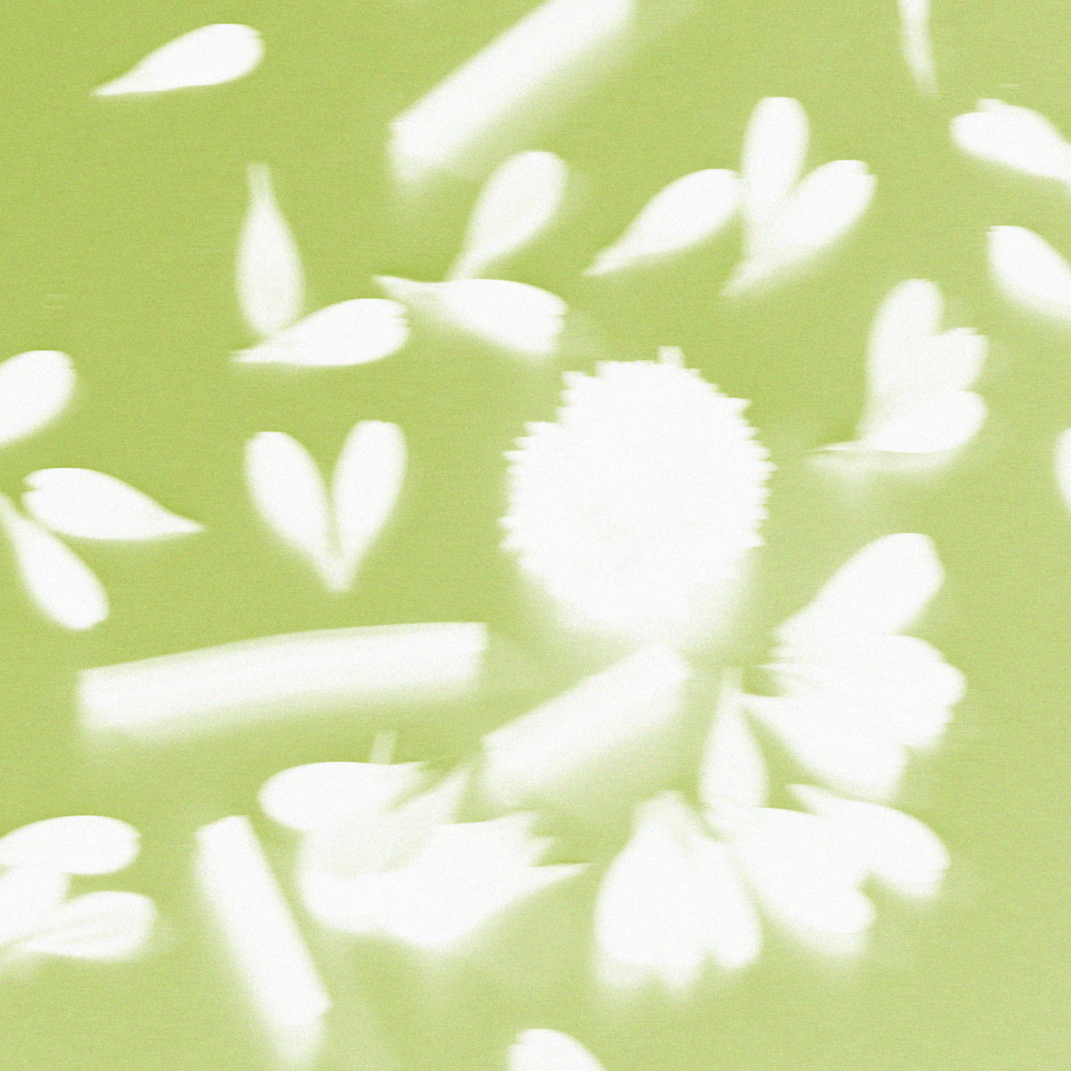 Prints of flowers symbolizing creative arts therapies