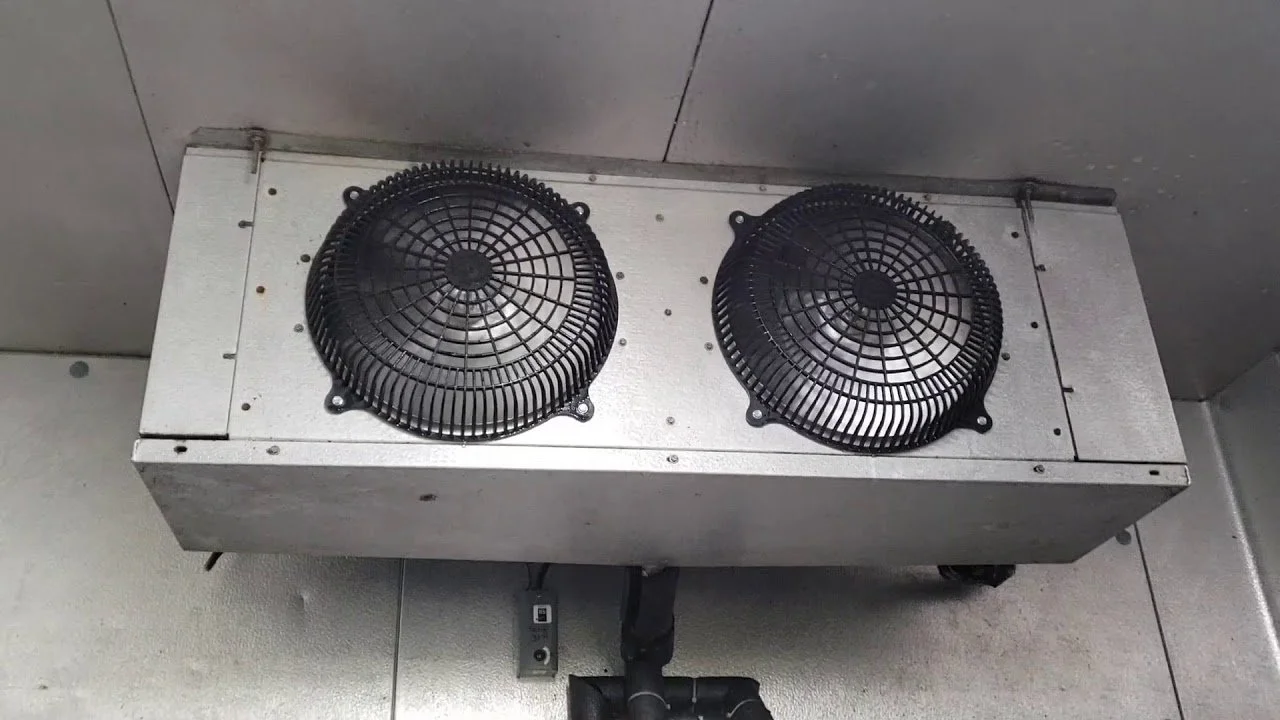 3575931465.jpg