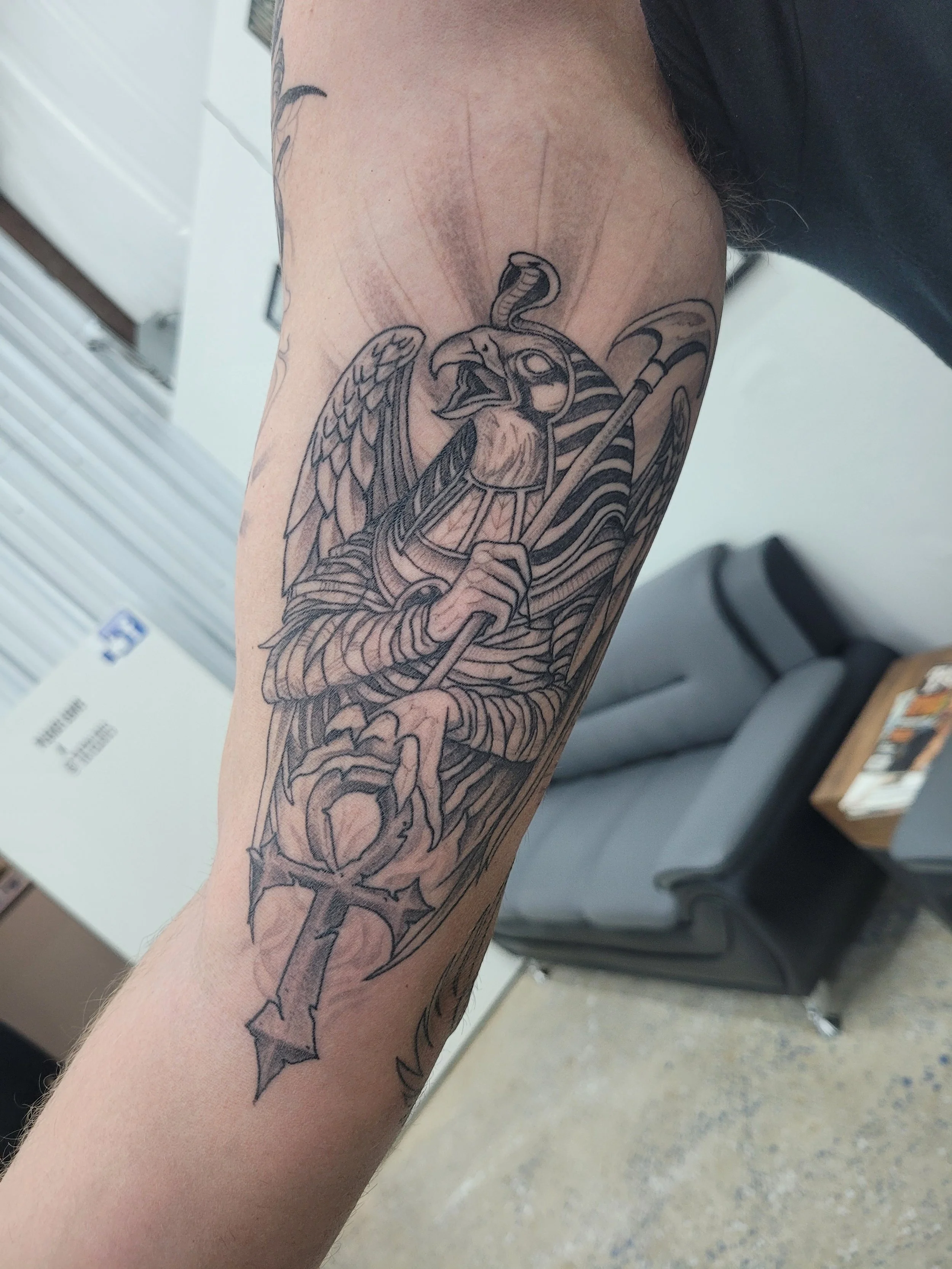 Black and gray tattoo of a mythical creature with a bird's head, human-like body, wings, and an anchor in its hand on a person's arm.
