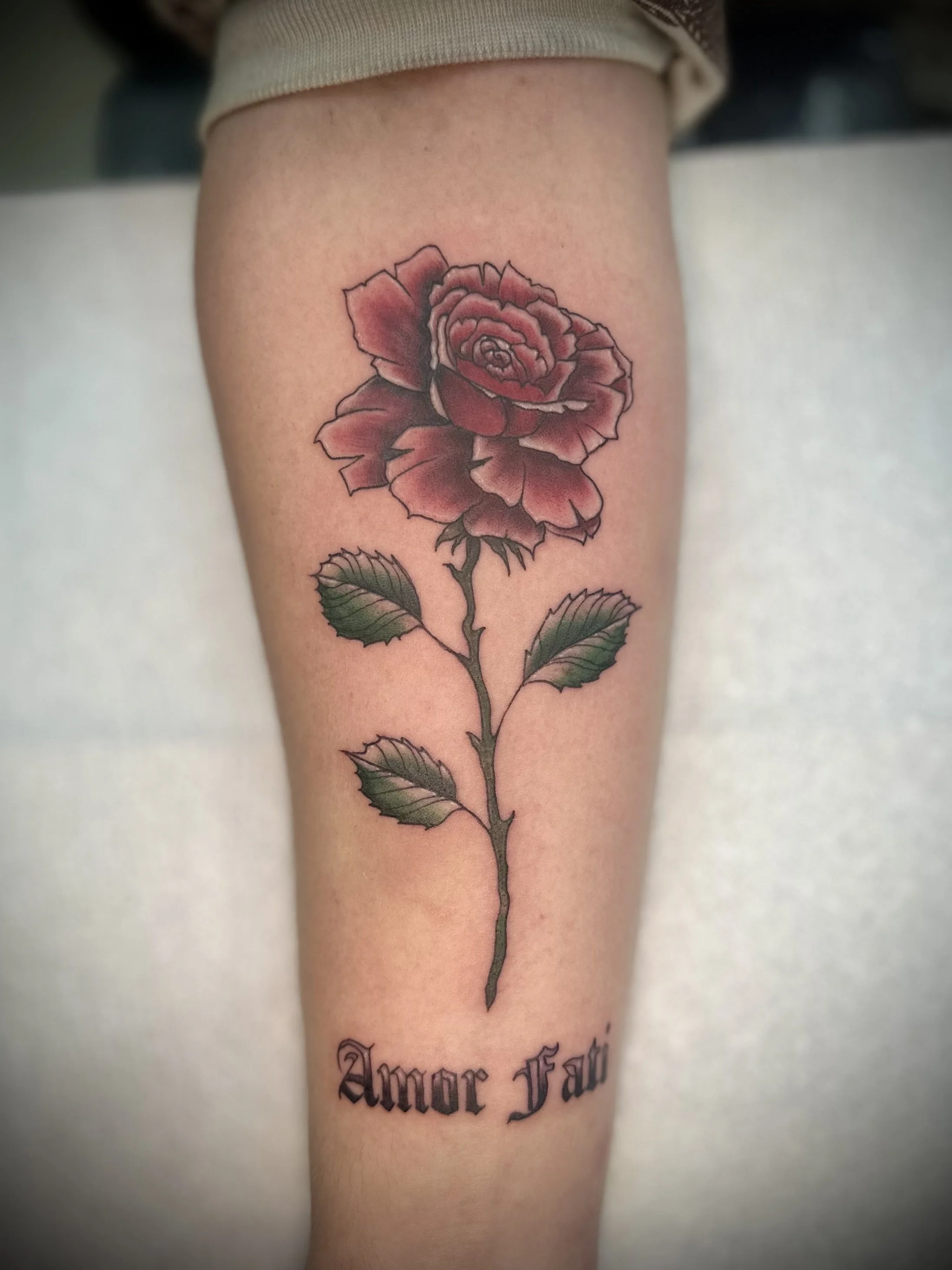 A tattoo of a pink and red rose with green leaves on a person's arm, with the words 'Amor Fati' in black gothic font below it.