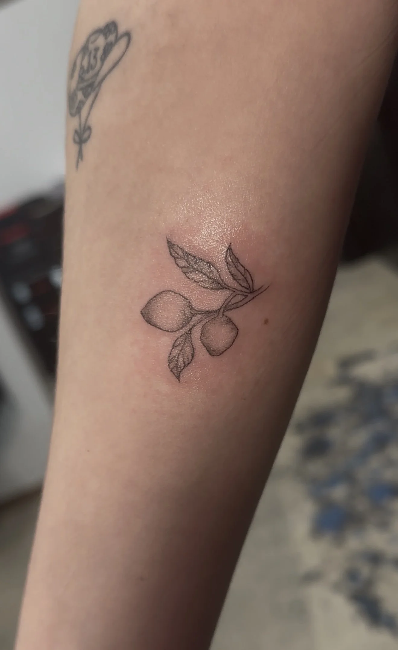 A tattoo of a branch with two lemons and three leaves on a person's skin.