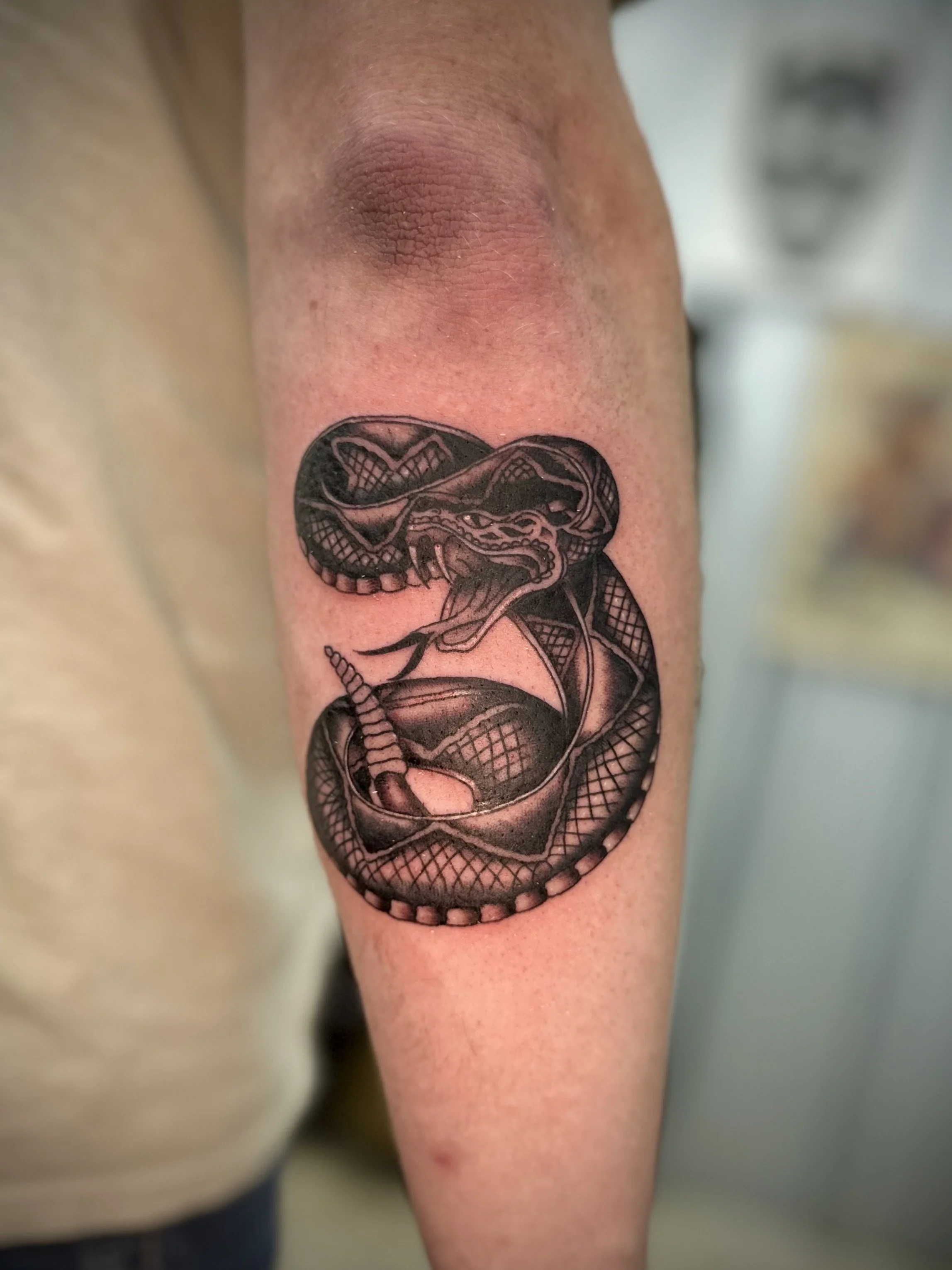 Black and gray tattoo of a snake coiled around a skull on a person's inner forearm.