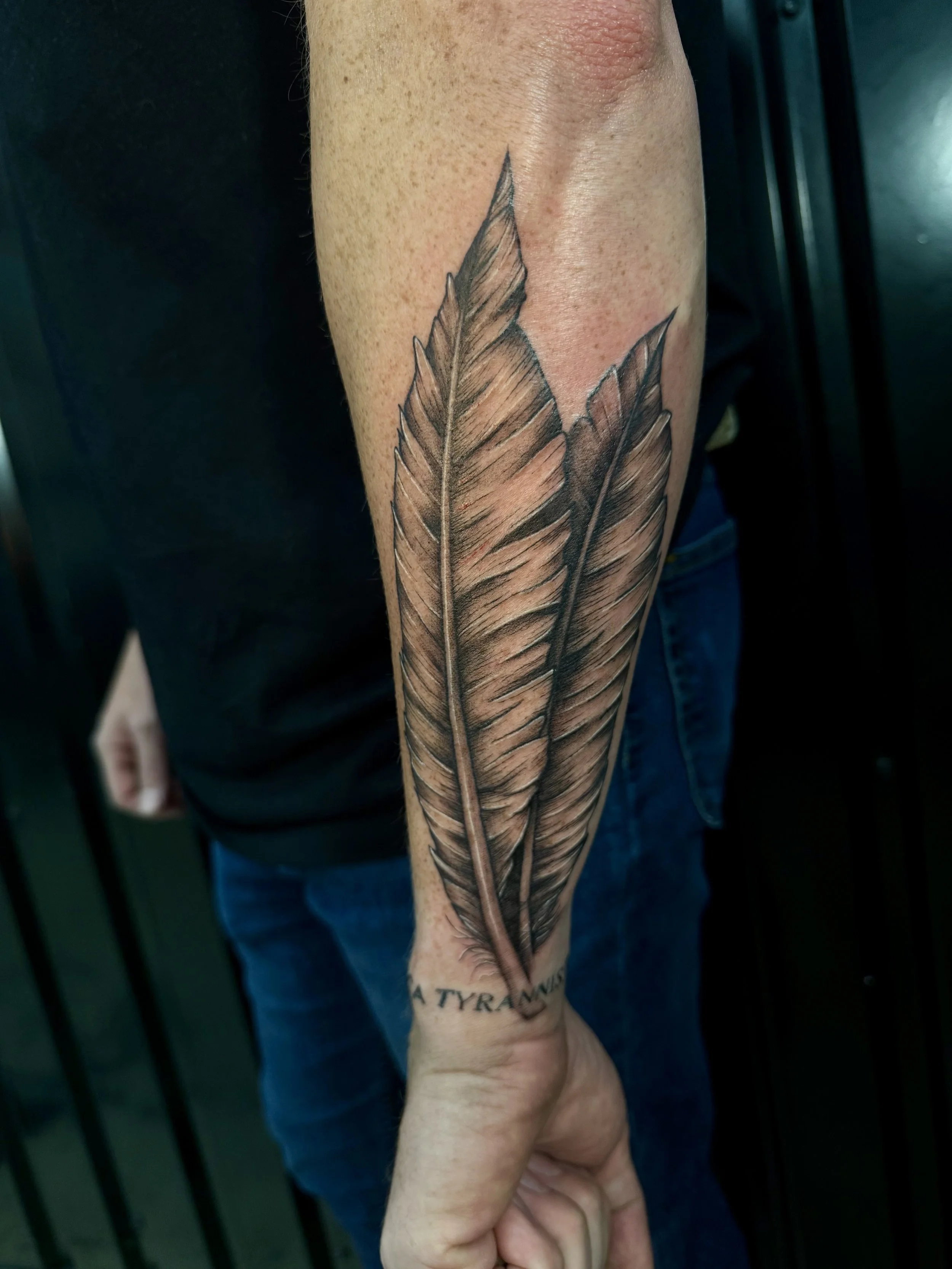 Tattoo of three large feathers on a person’s forearm with text beneath reading 'A TYRANNY'.