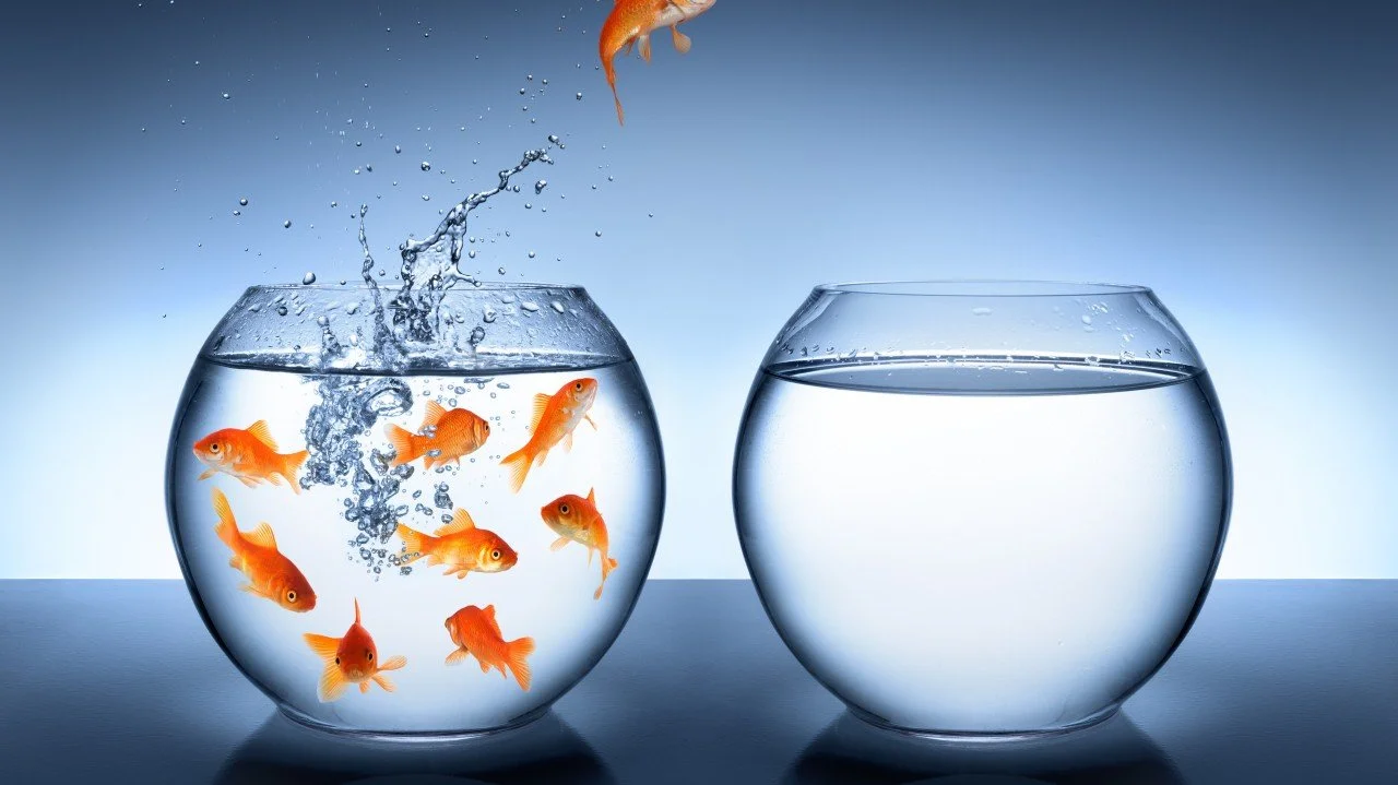 No One’s Coming: Find Your Agency and Go