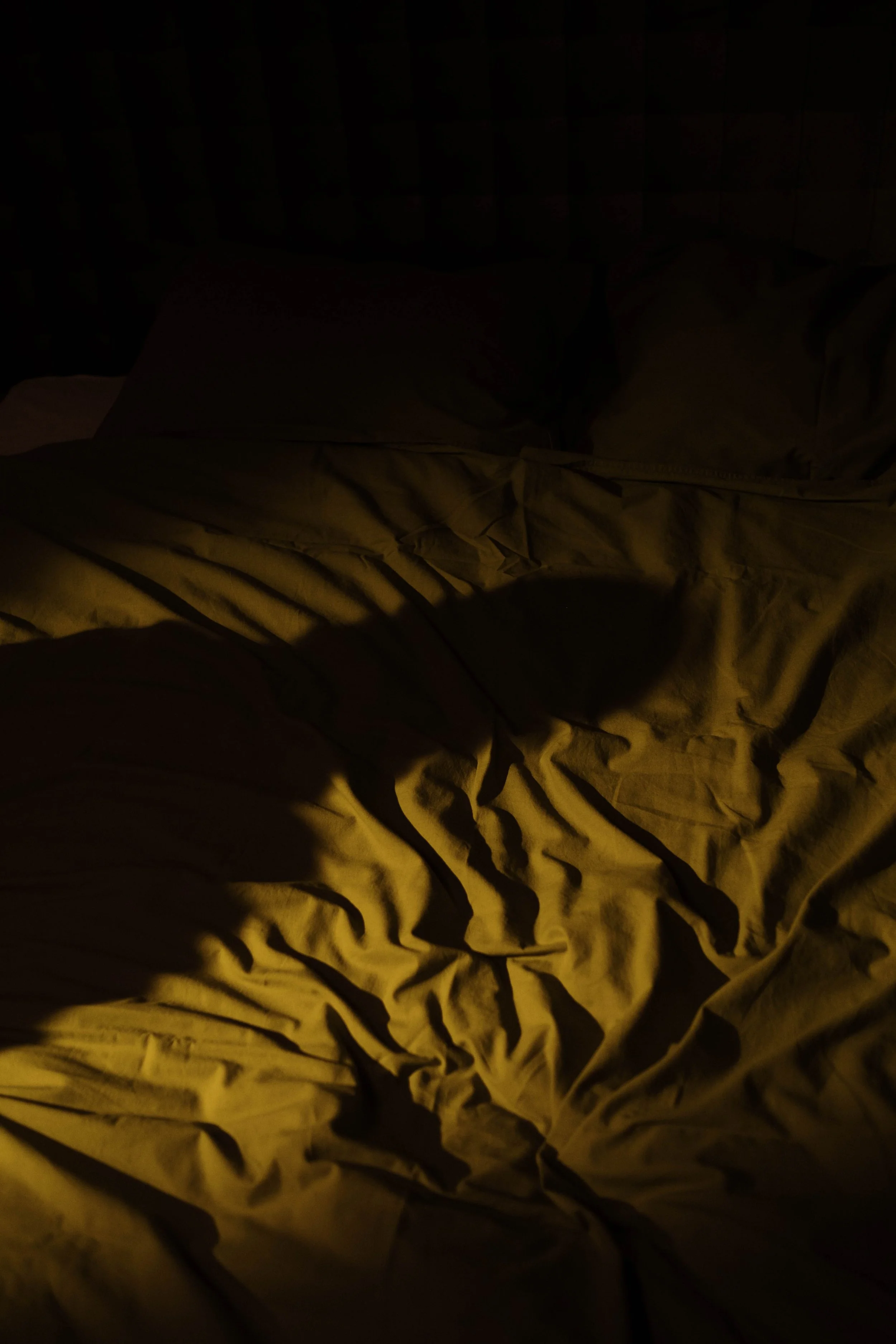 A shadow falls across rumpled bedsheets bathed in warm, dim light. What should you do after waking from a nocturnal panic attack? Online panic disorder treatment in Wauwatosa, WI offers strategies to help you feel safe again.