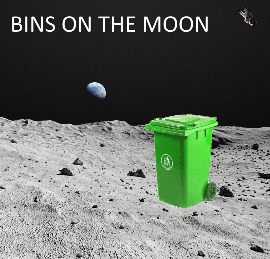 Bins on the moon (Poster).jpg