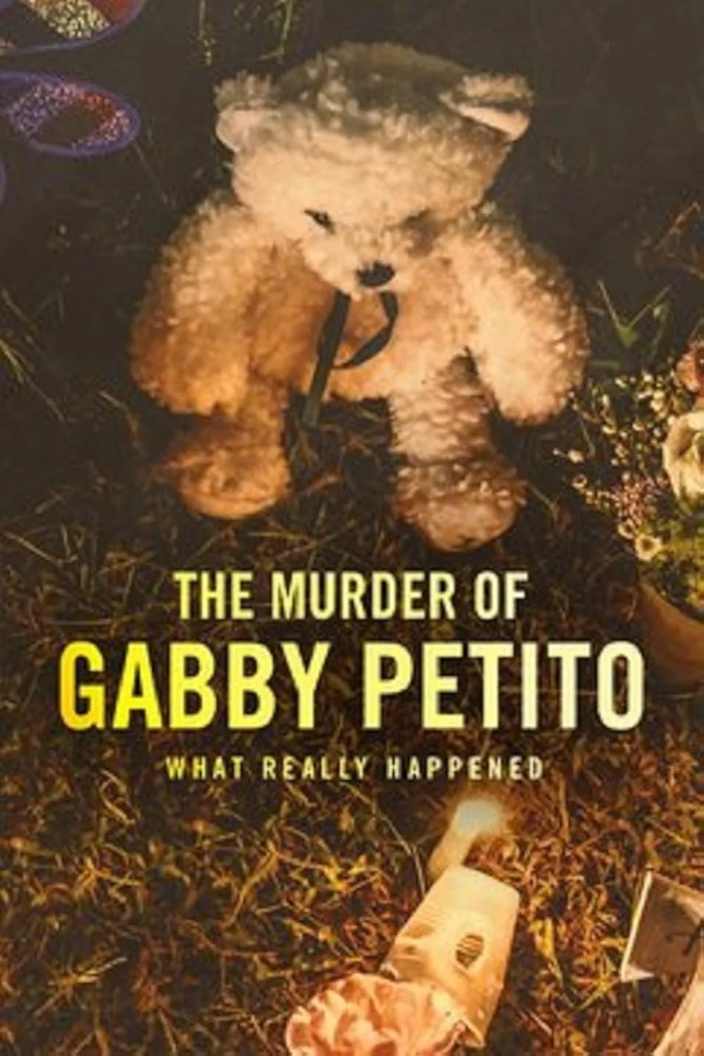 Book cover titled 'The Murder of Gabby Petito: What Really Happened' with a picture of a teddy bear dog and some flowers and objects on the ground.