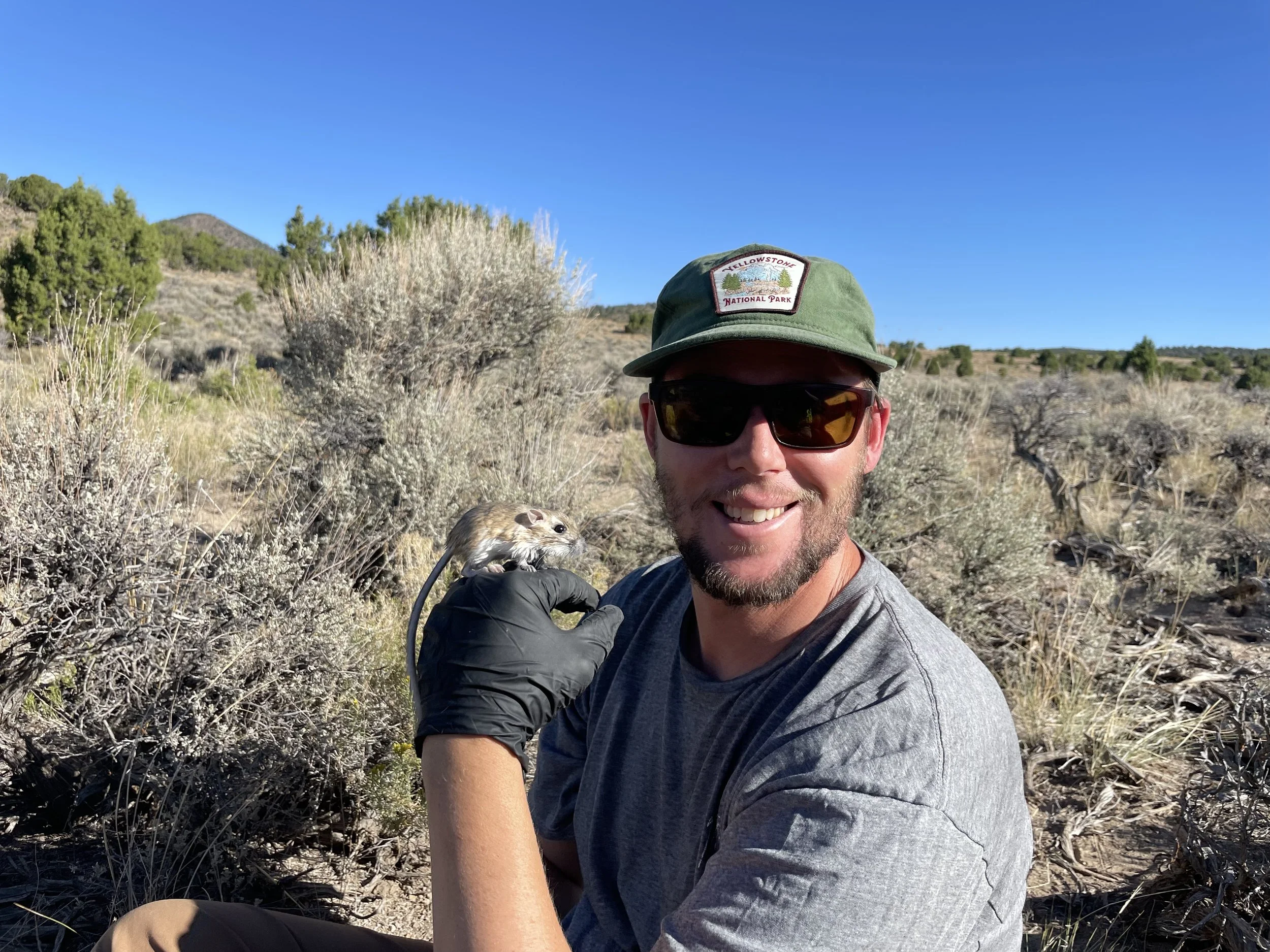 A smiling man with sunglasses and a green hat holds a small rodent in a desert landscape with bushes and blue sky. Big sagebrush, kangaroo rat, cutest small mammal in the beautiful state of Nevada and the world.