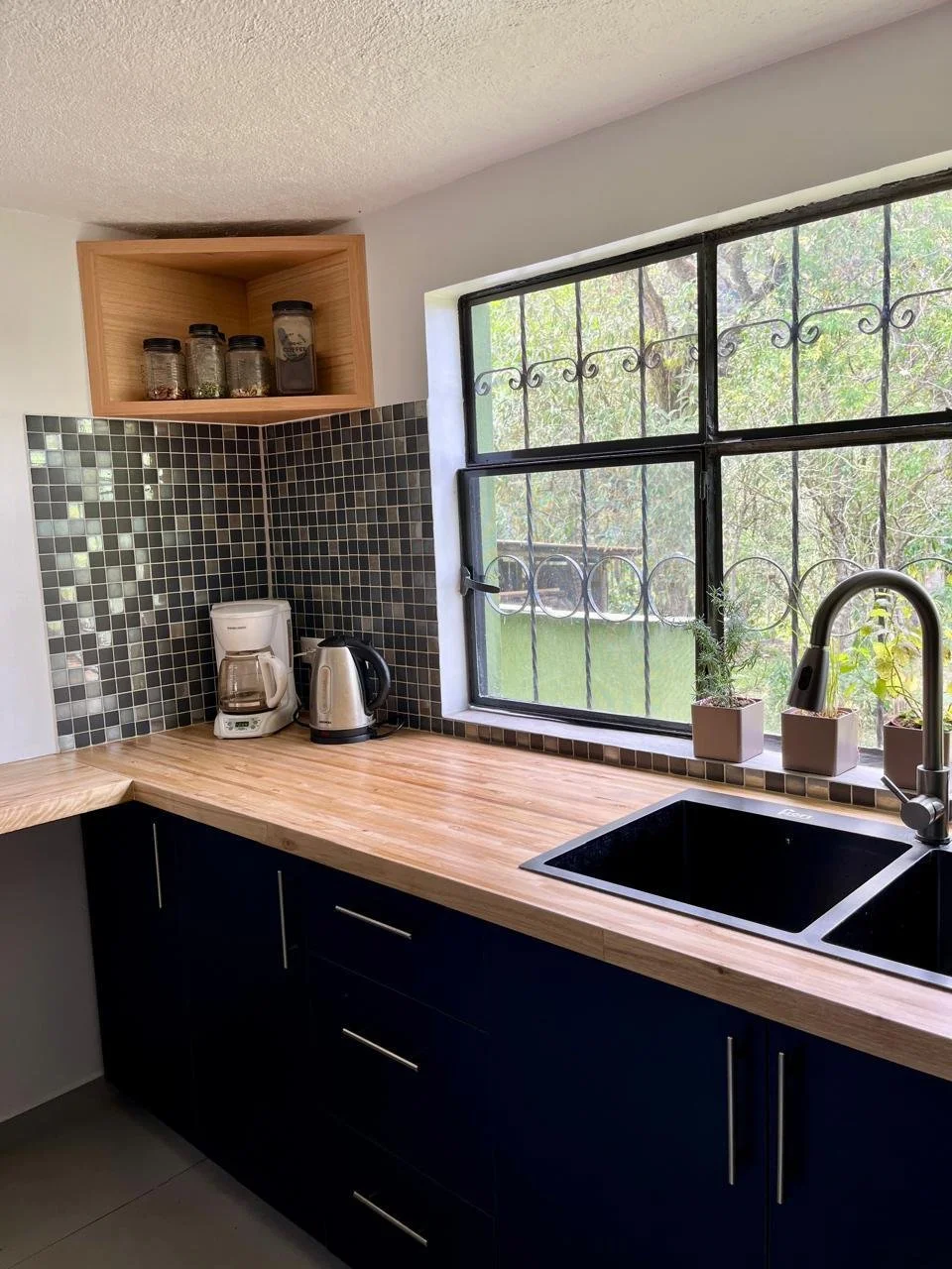 Kitchen countertop with coffee maker and electric kettle, black sink, window with metal bars, and small potted plants.